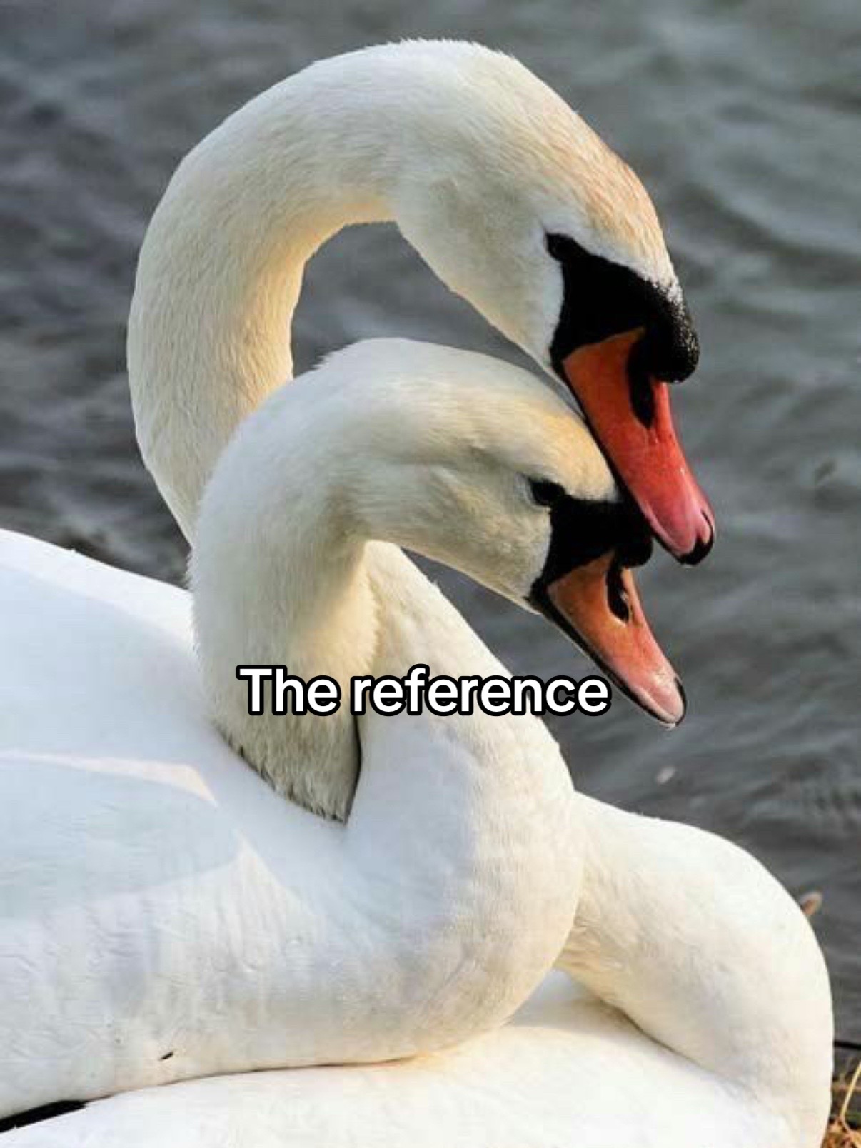 @Zaki