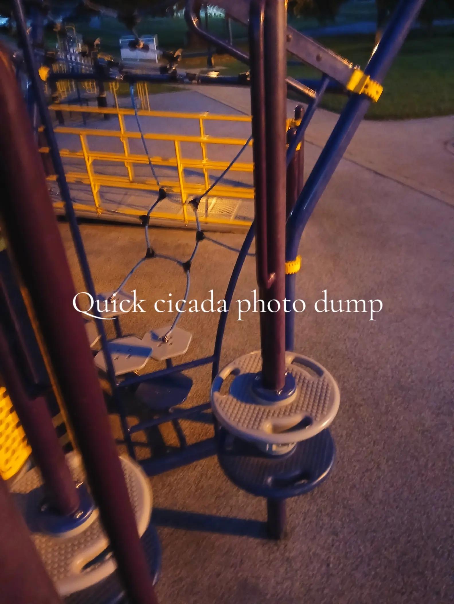 @Stew