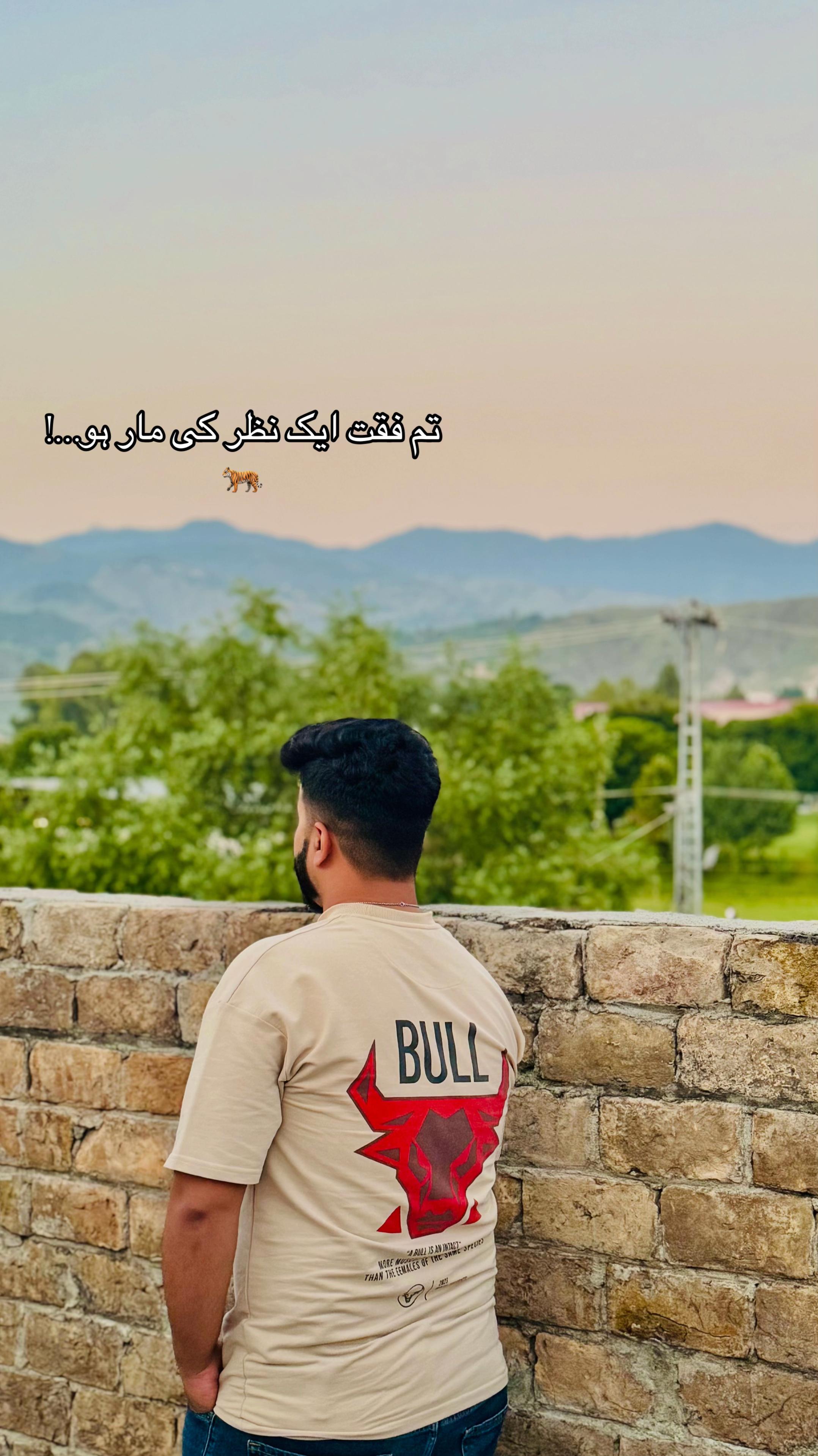 @Syed Uzair Tirmizi🇵🇰❤️🇦🇪