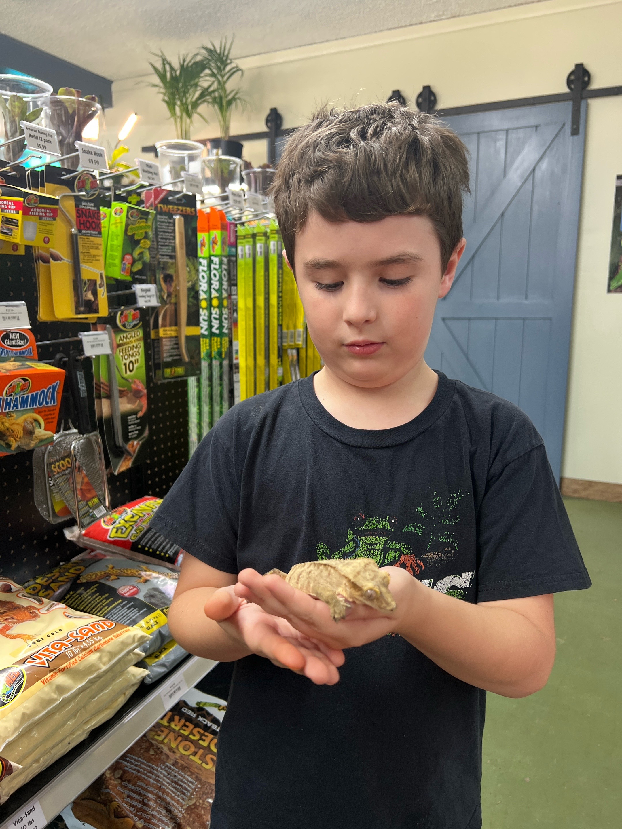 @Finn’s Frog Farm