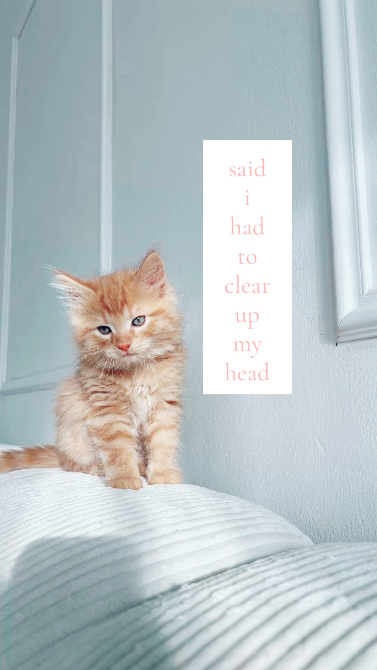 @&zwj; ❀