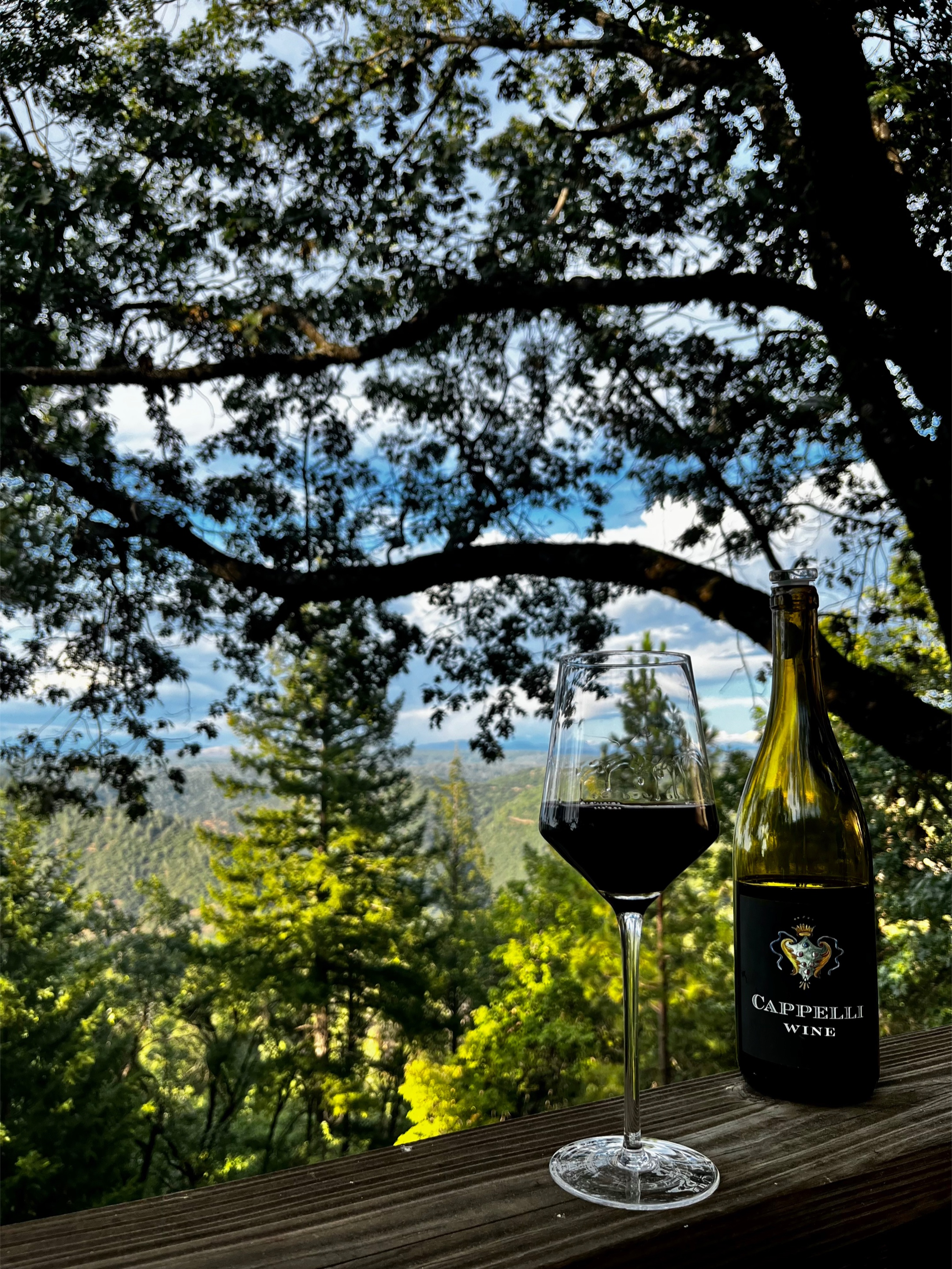 @nic 💚 sierra foothills