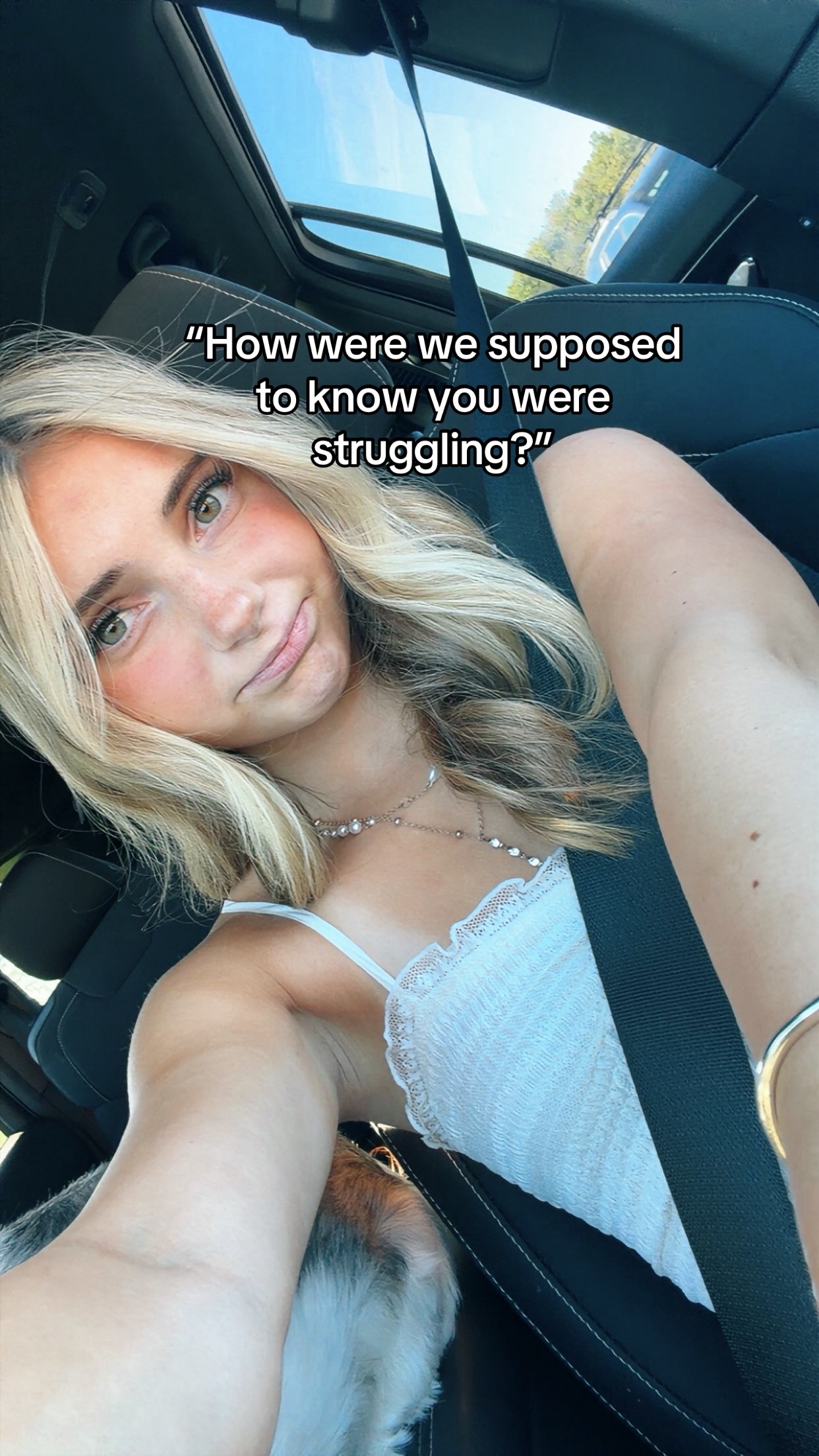 @lex 🦦