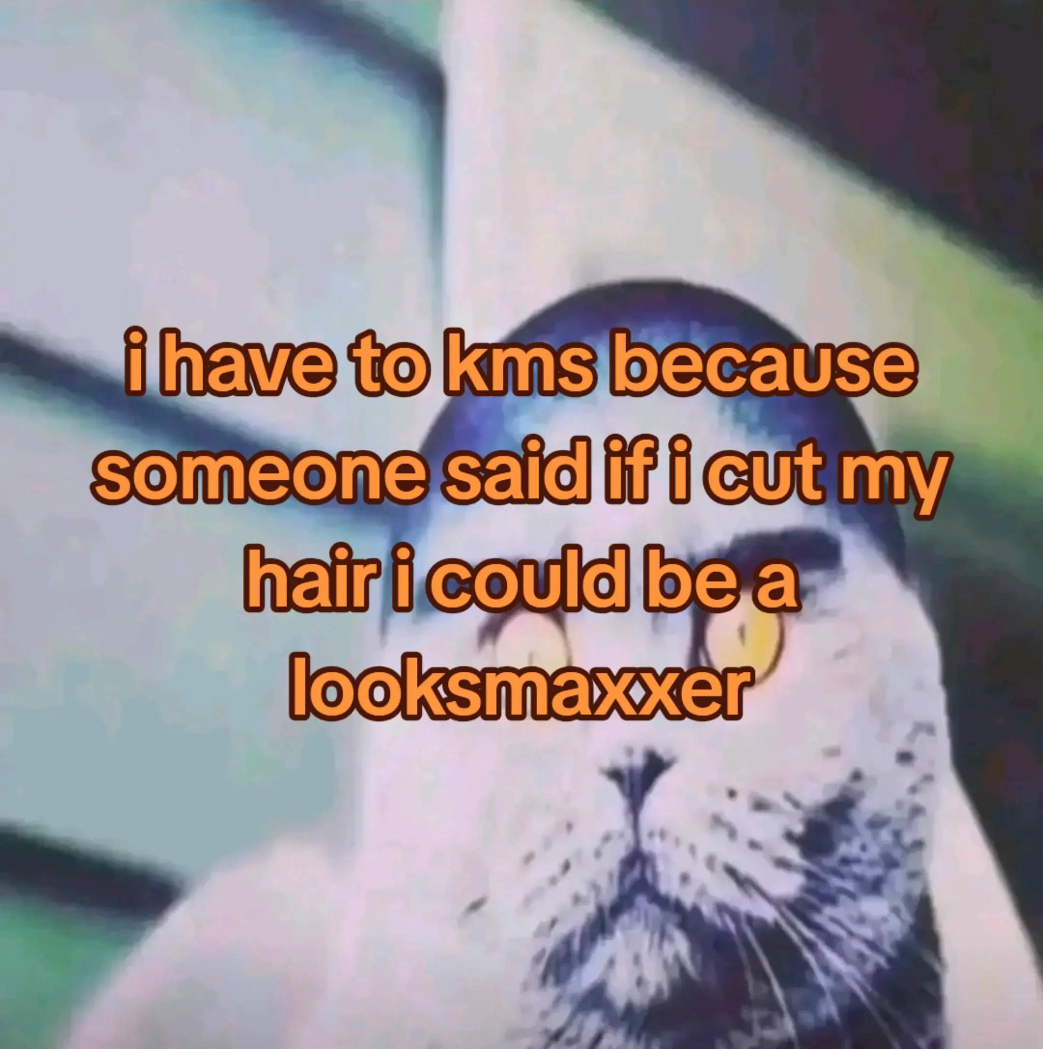 @dima