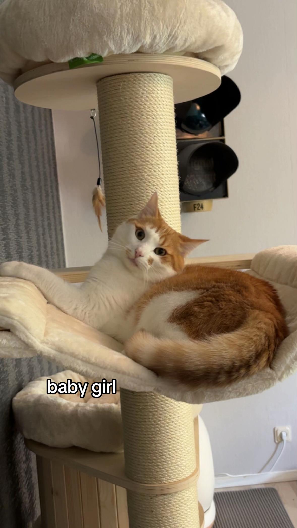 @ʝ&alpha;&iota;ѕѕ&iota;😌