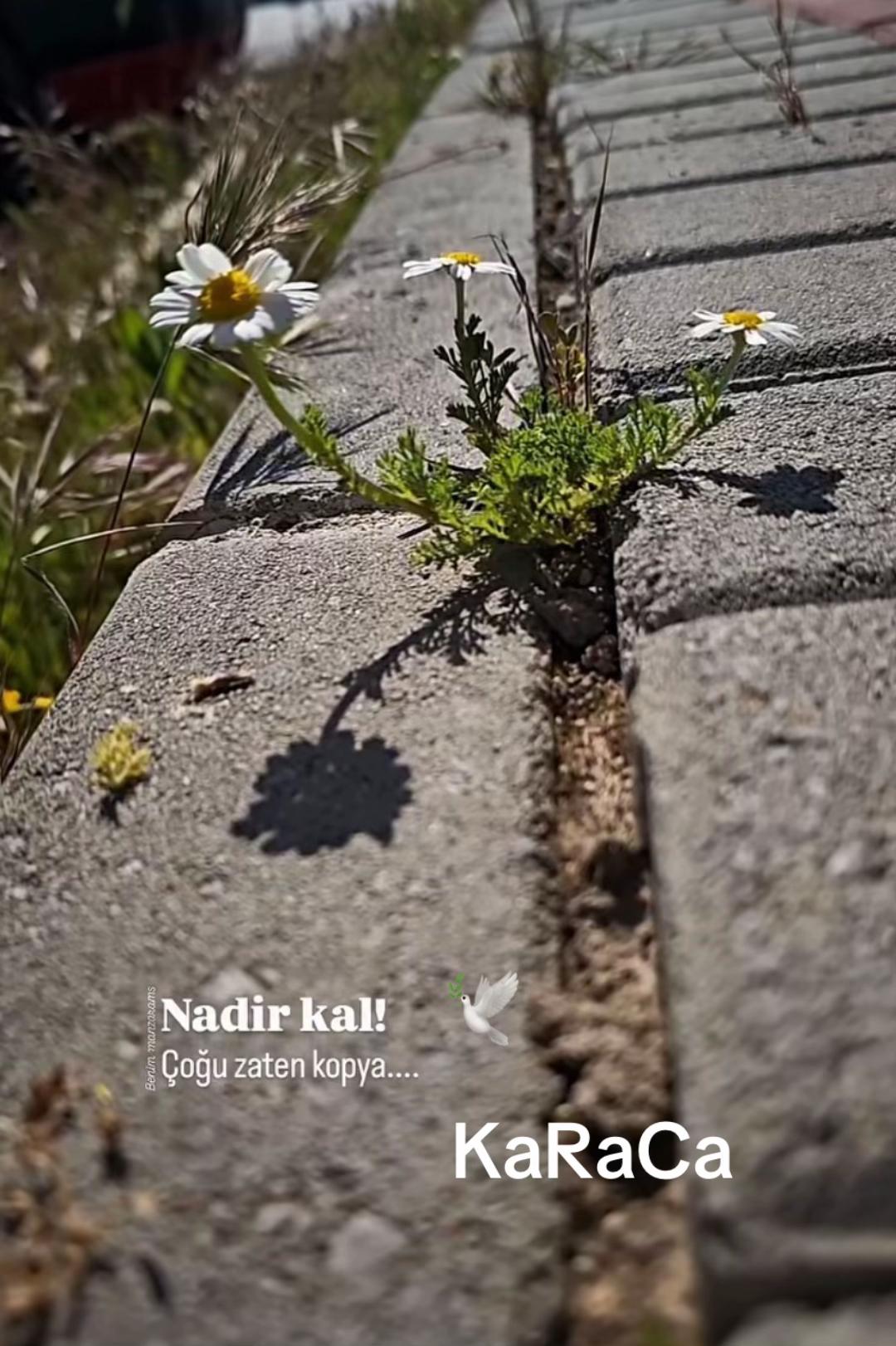 @KaRaCa