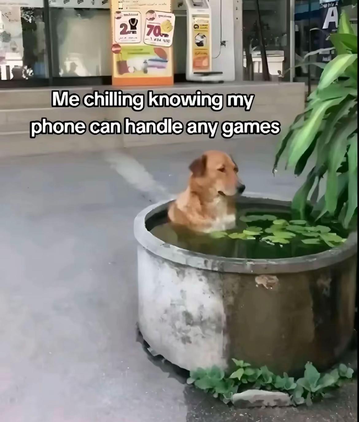 @𝐈𝐓𝐔𝐒𝐊