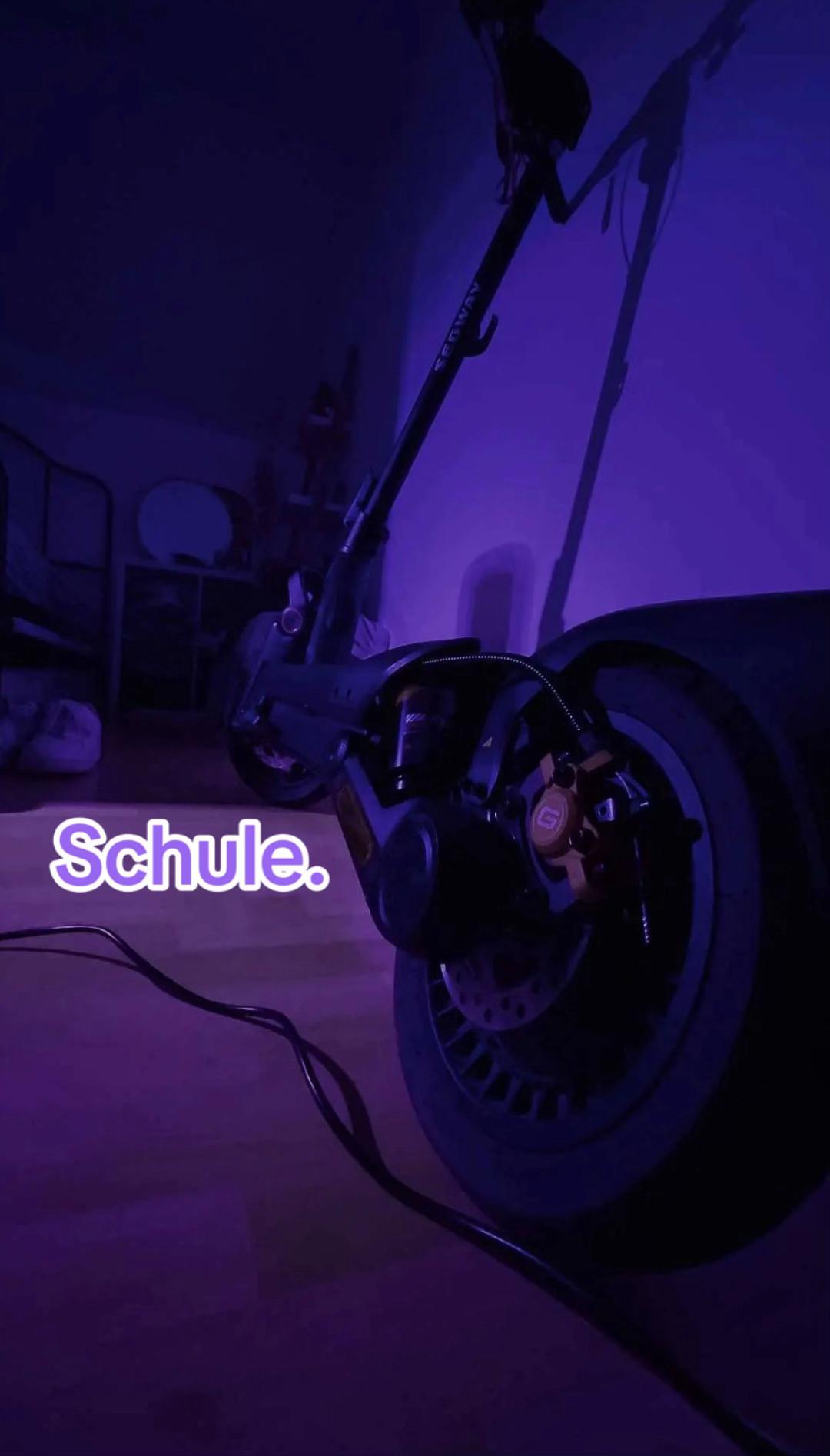 @𝖑𝖔𝖘𝖙𝖘𝖔𝖚𝖑