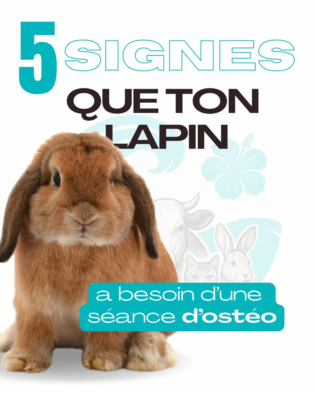 @Animae Ost&eacute;o