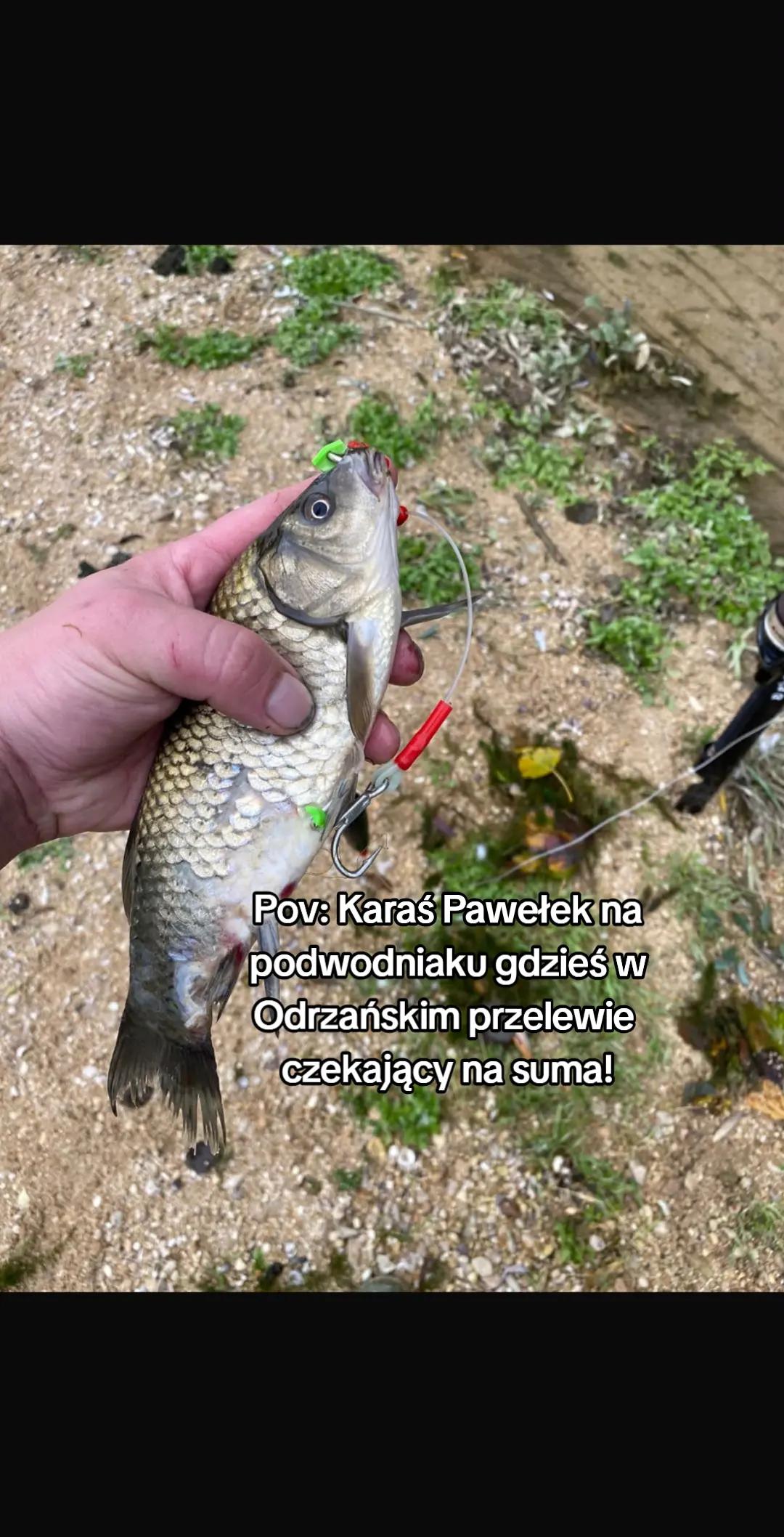 @🇵🇱🦈Tuńczyk Fishing🦈🇵🇱