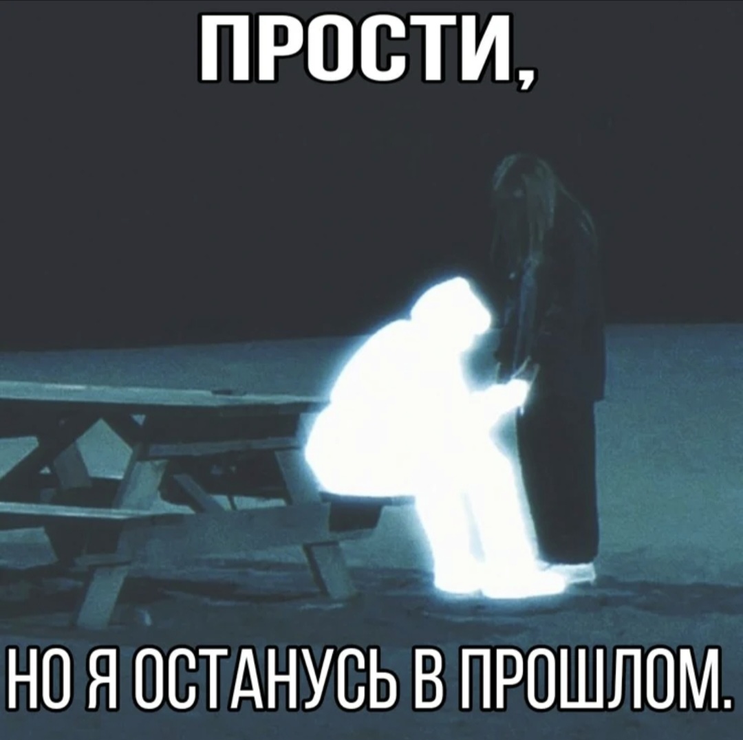 @Shepss