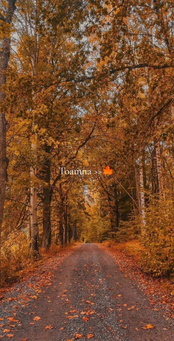 @Soffa✨️