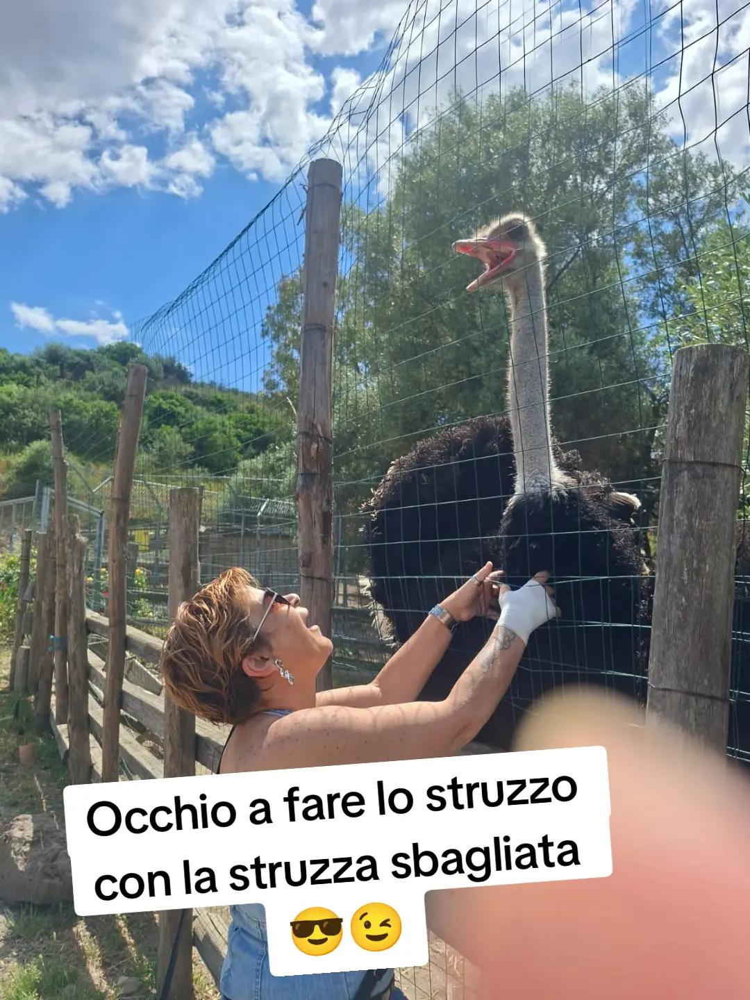 @Angela