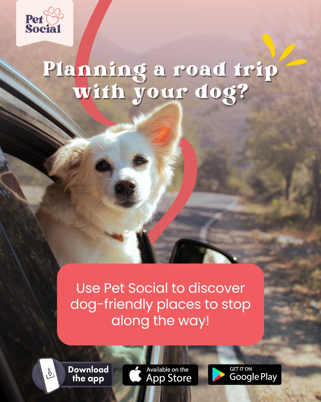 @Pet Social UK