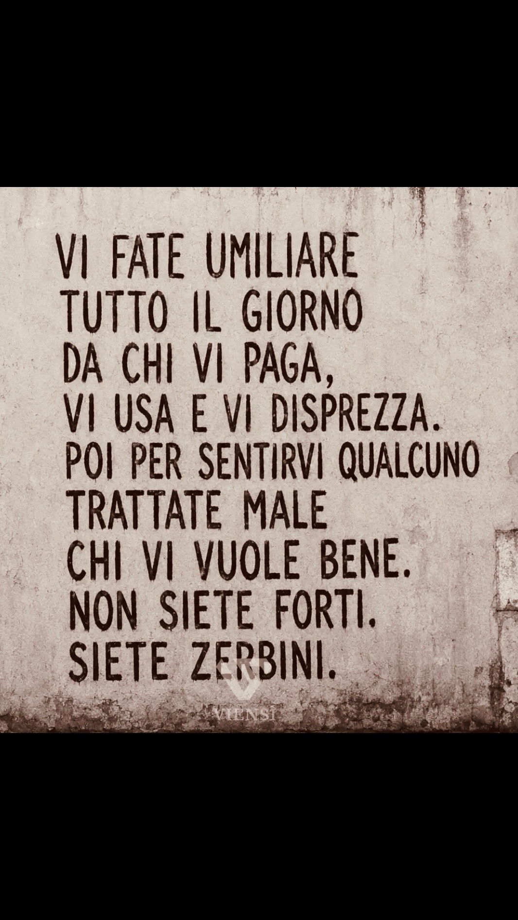 @brunopizzarelli2455