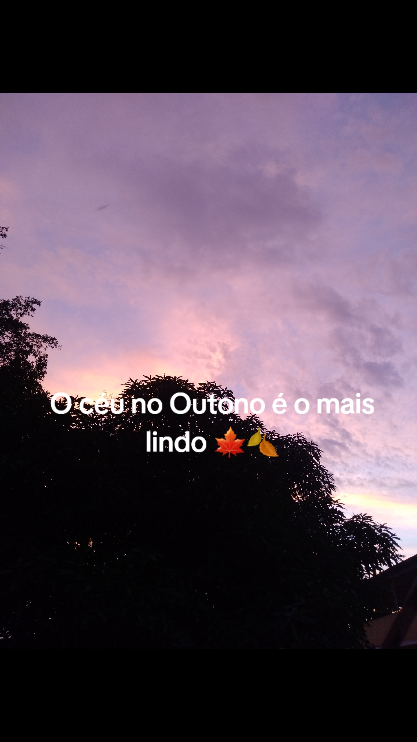 @Garotamaracat
