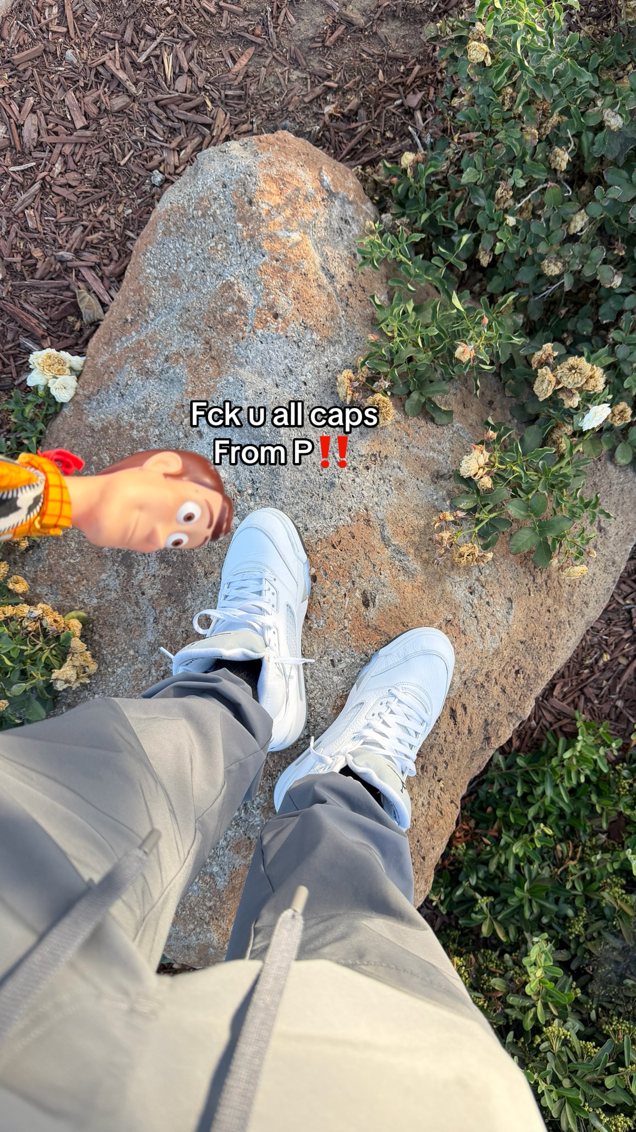 @sirnolimits