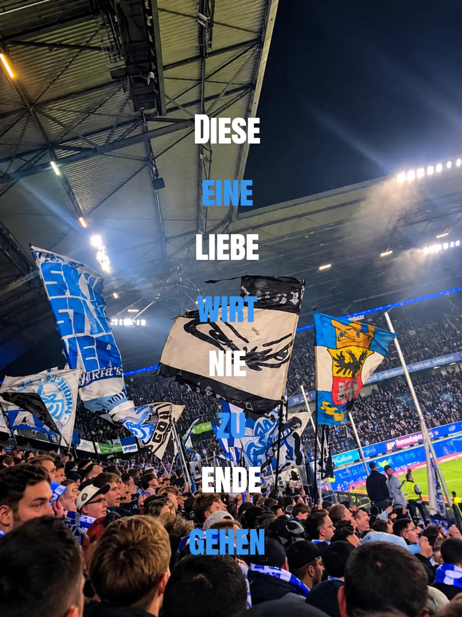 @Ananas_47🤍💙🦓🇩🇪🦅