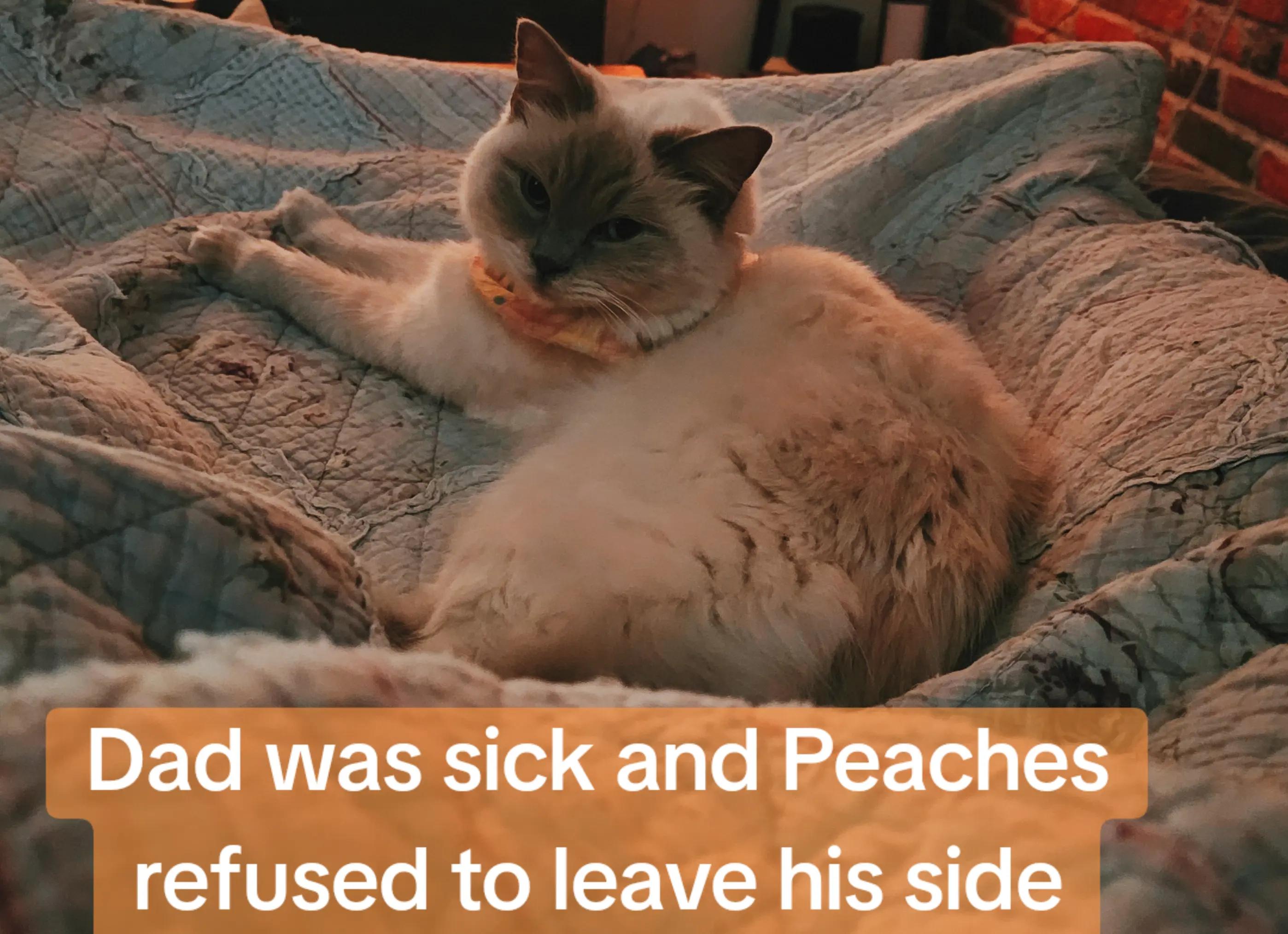 @peachandbeer