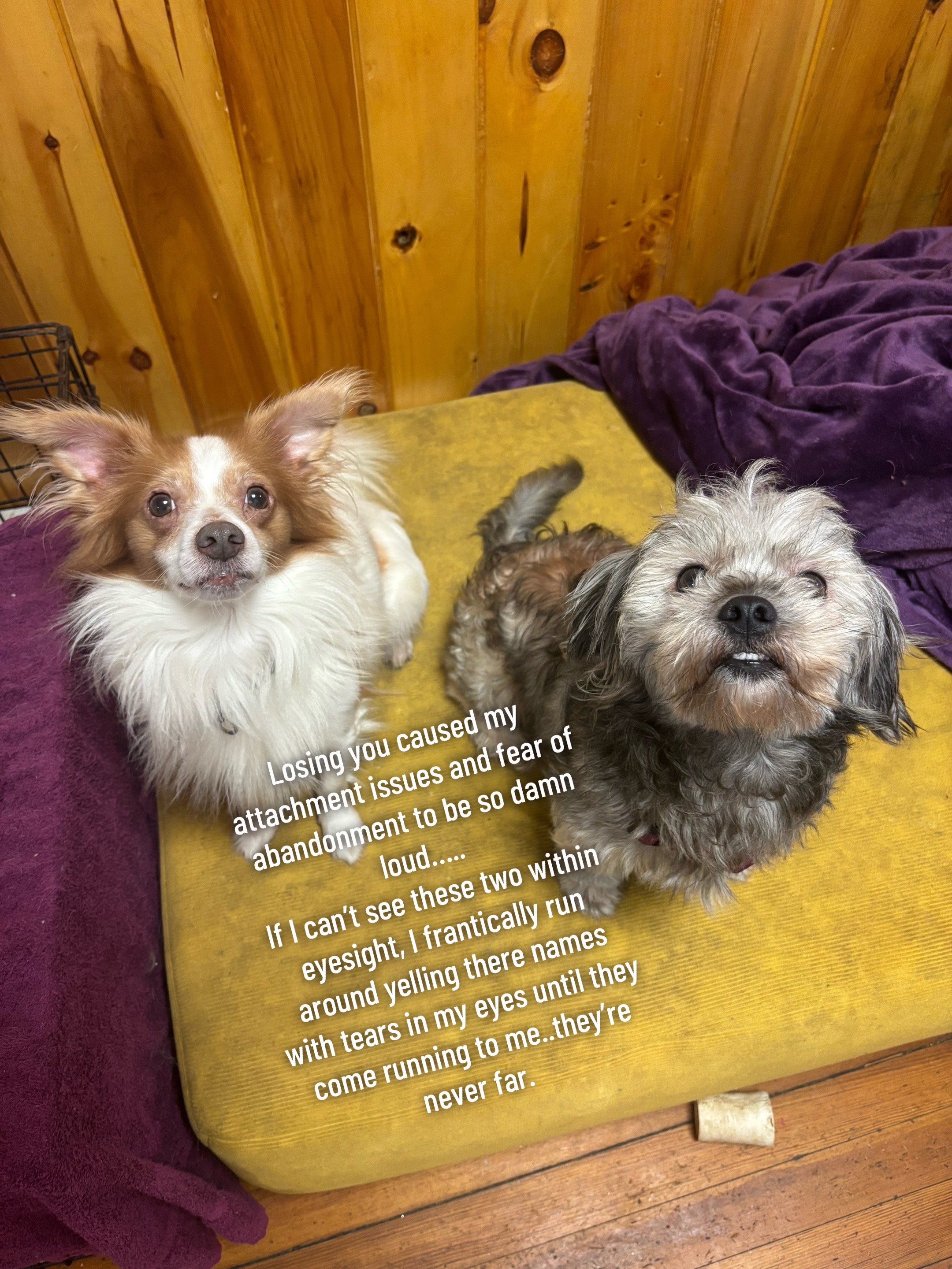 @QueenBri, Ralphie & Peanut