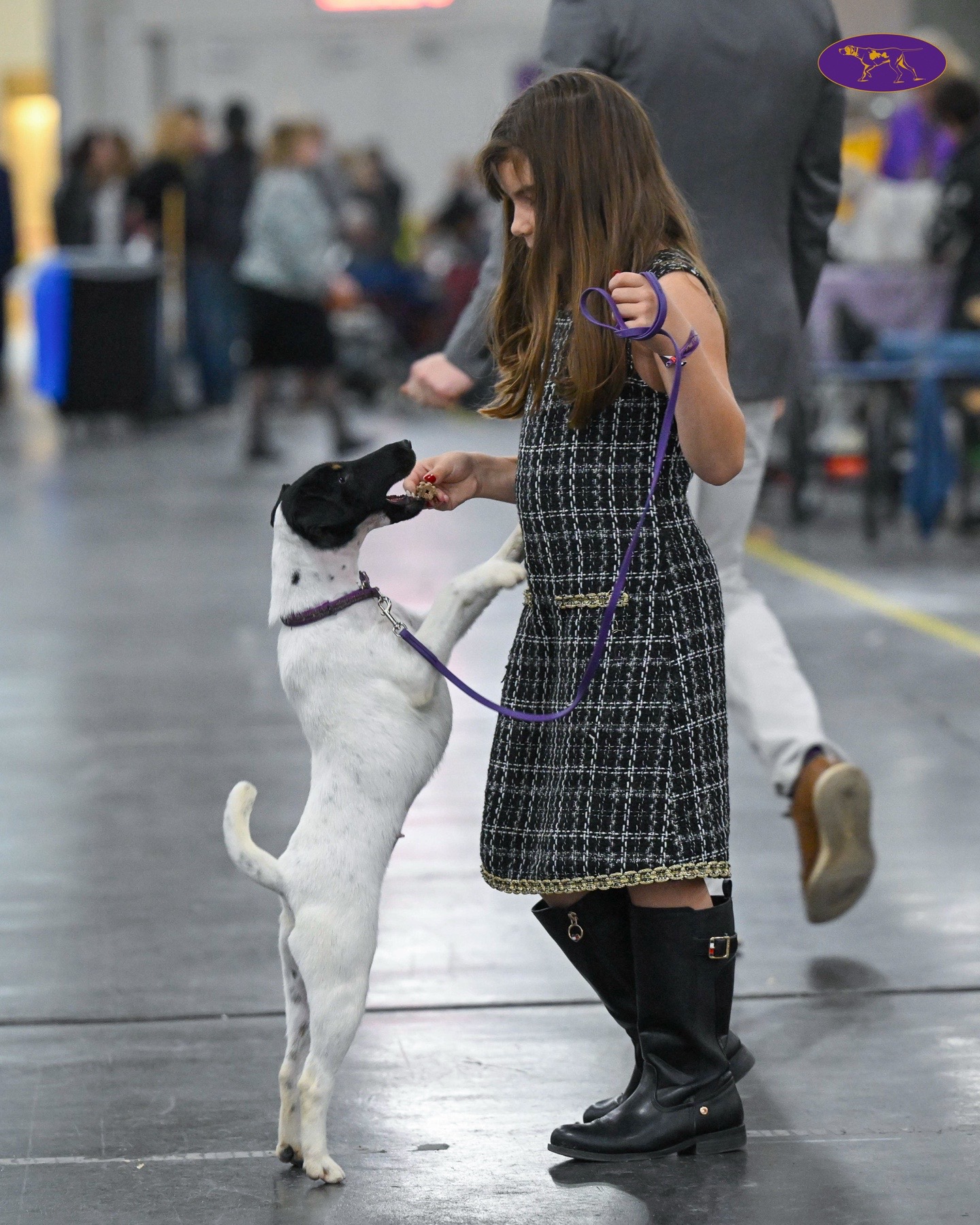 @Westminster Kennel Club