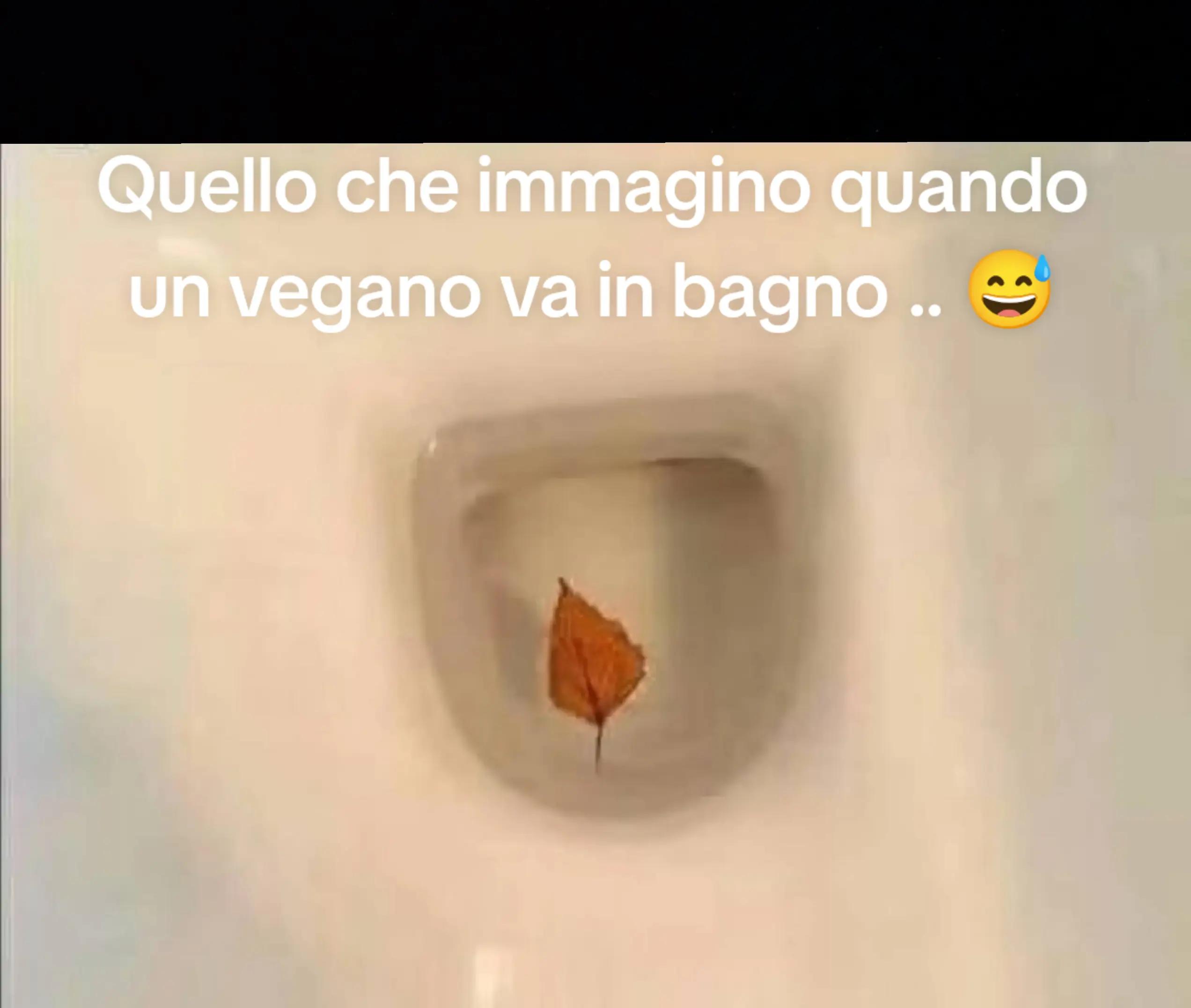 @ilmanu75