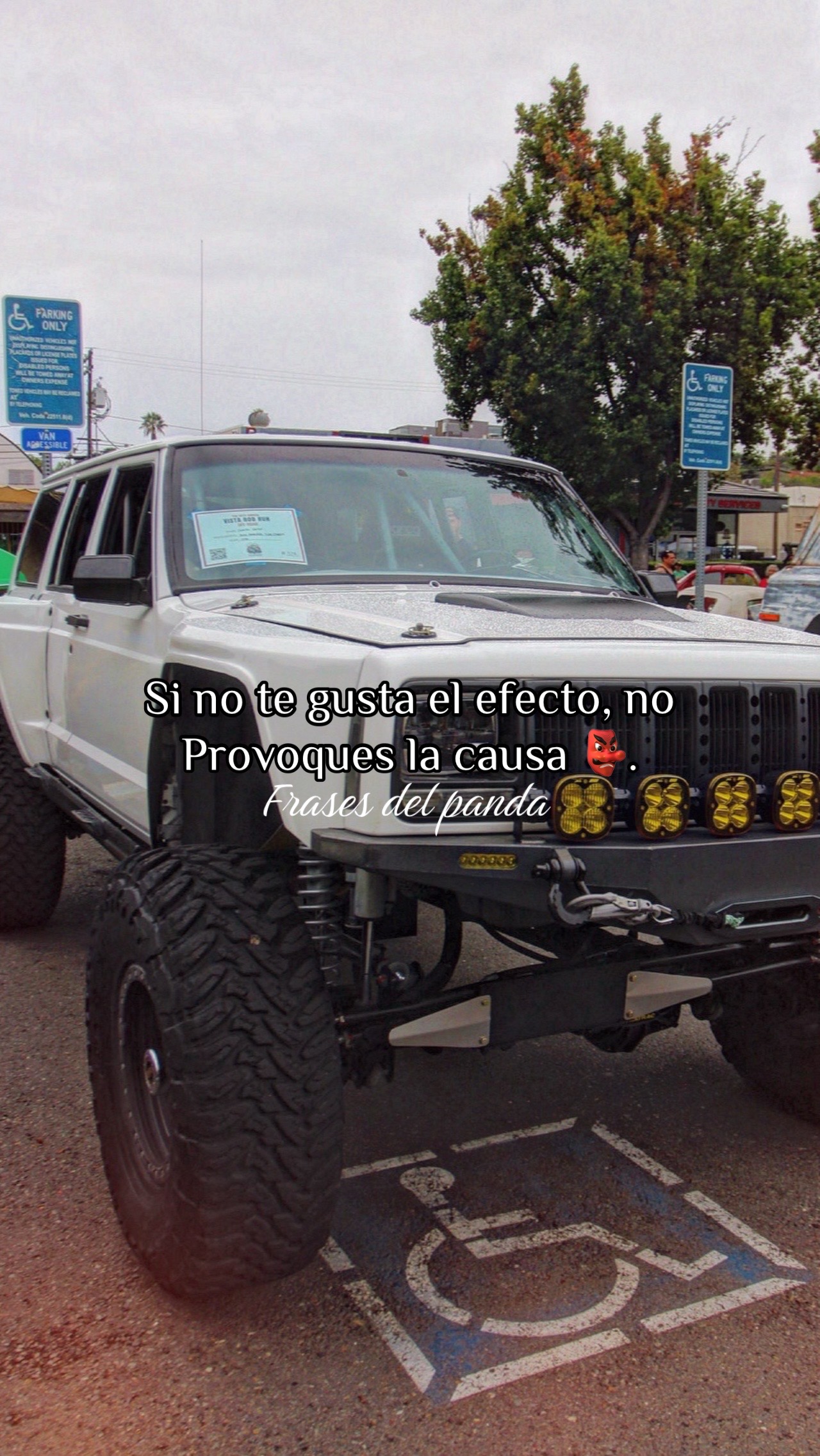 @frases del panda 🥷🏽