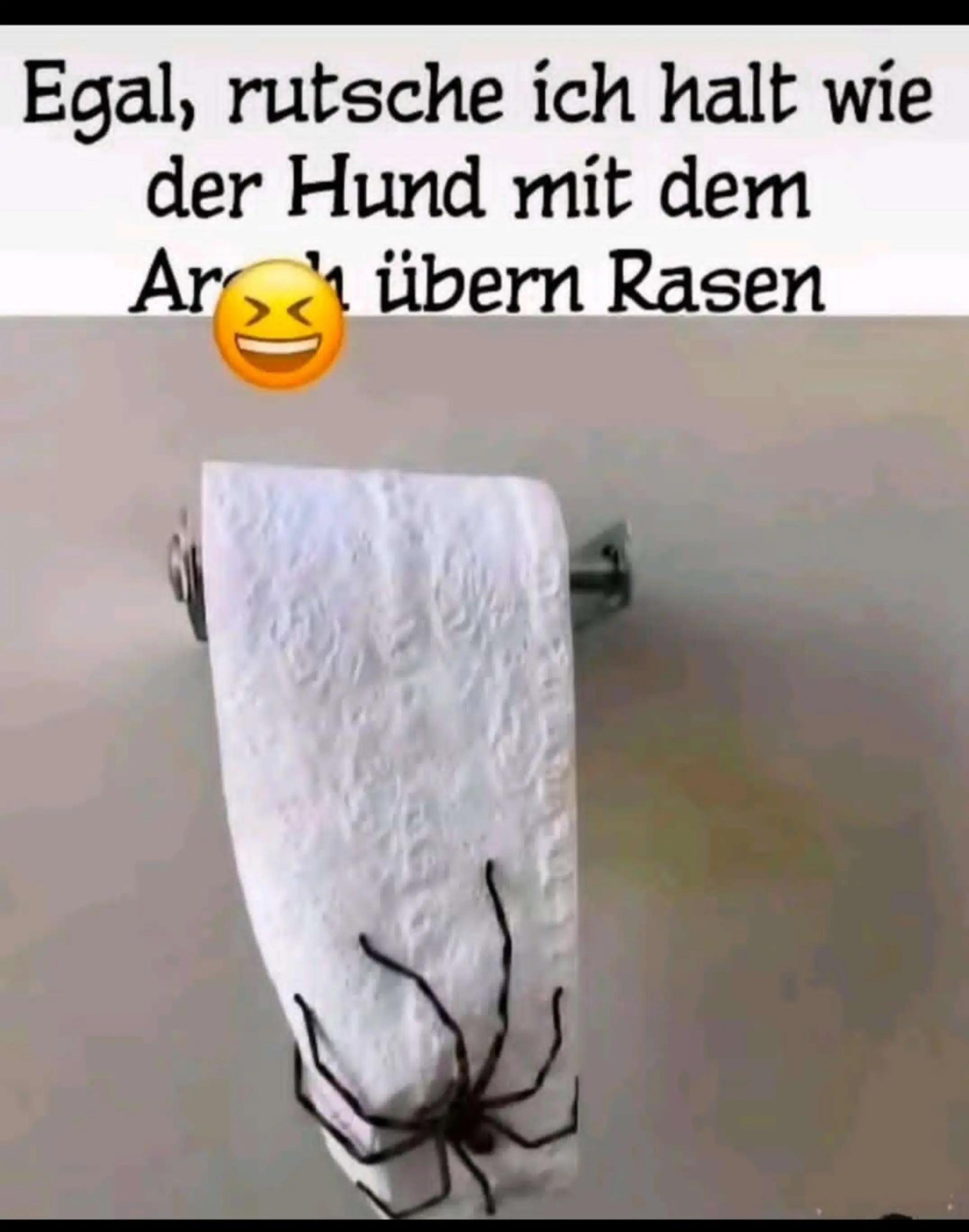 @Ruhepohl 🙏🏻🤪