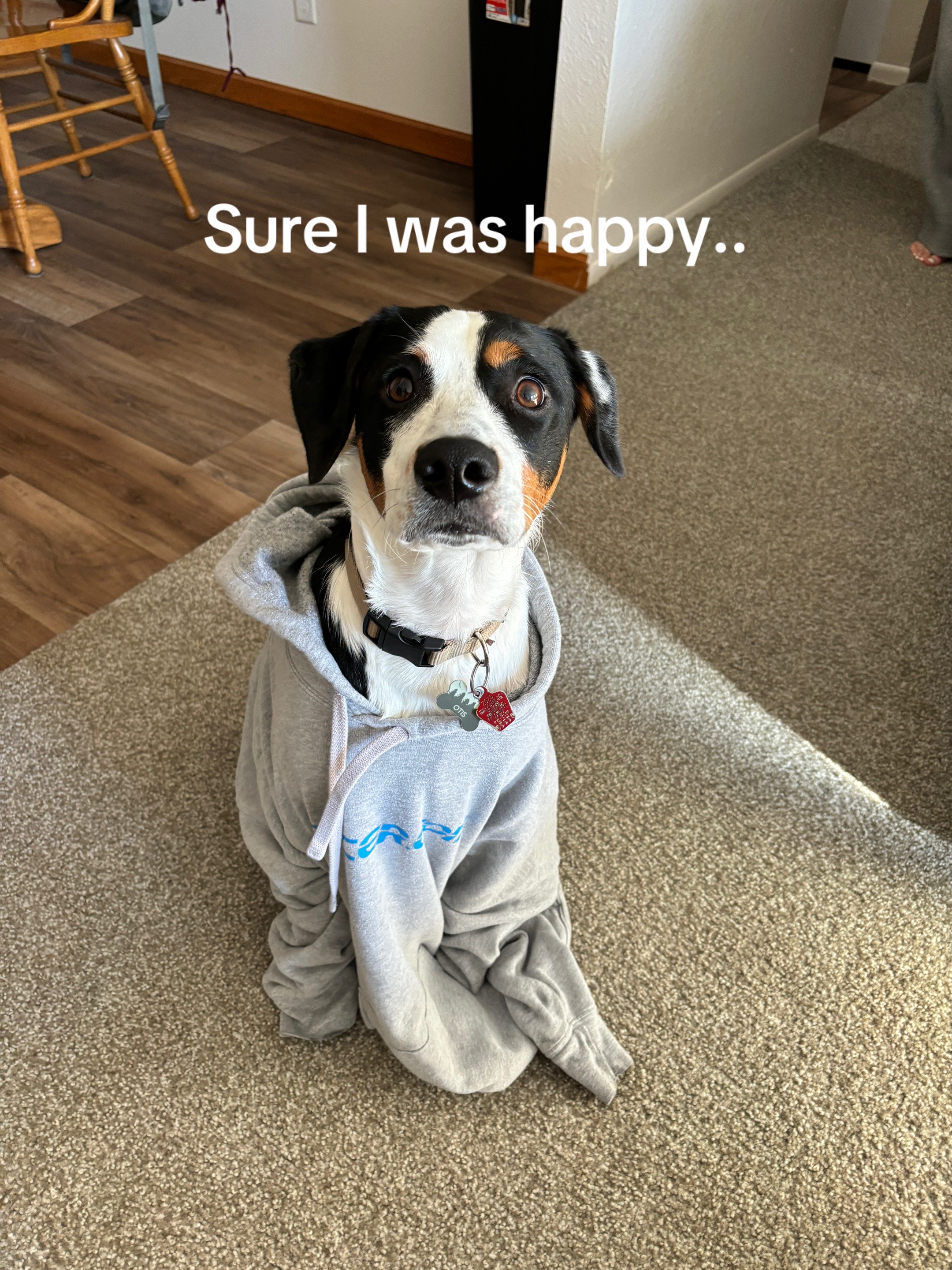 @zachgpaxton