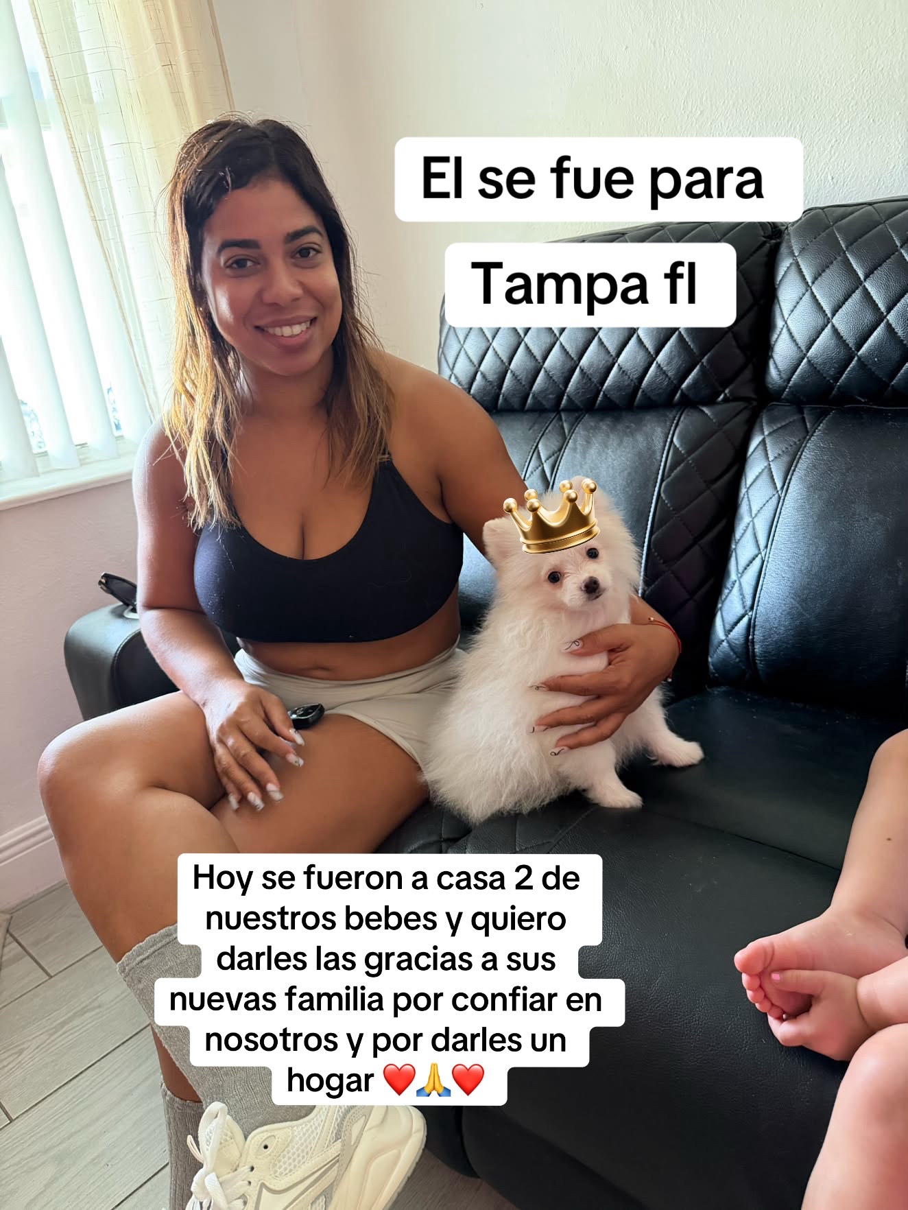 @pomy_lover1