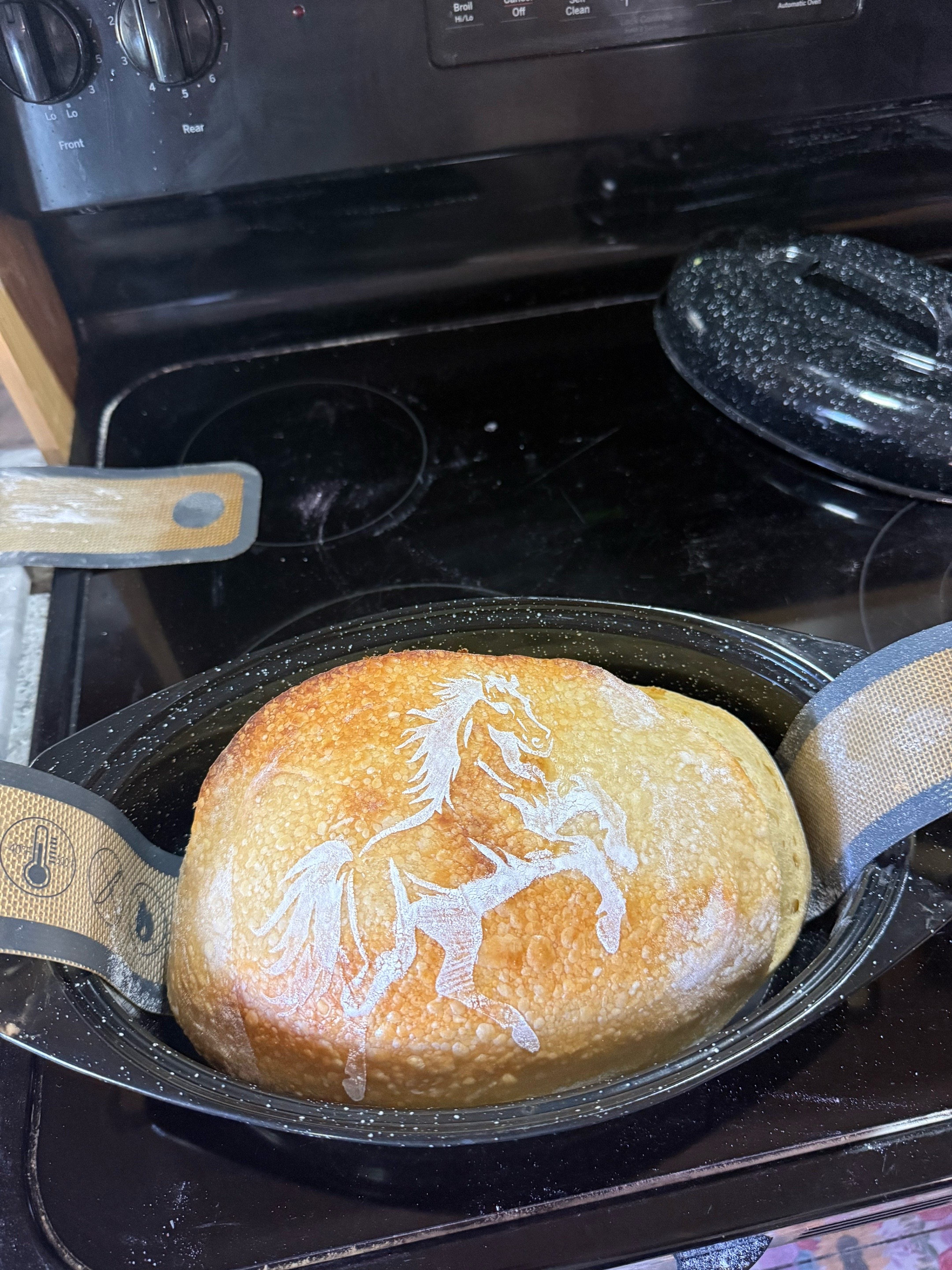 @Hali Holt 🥨