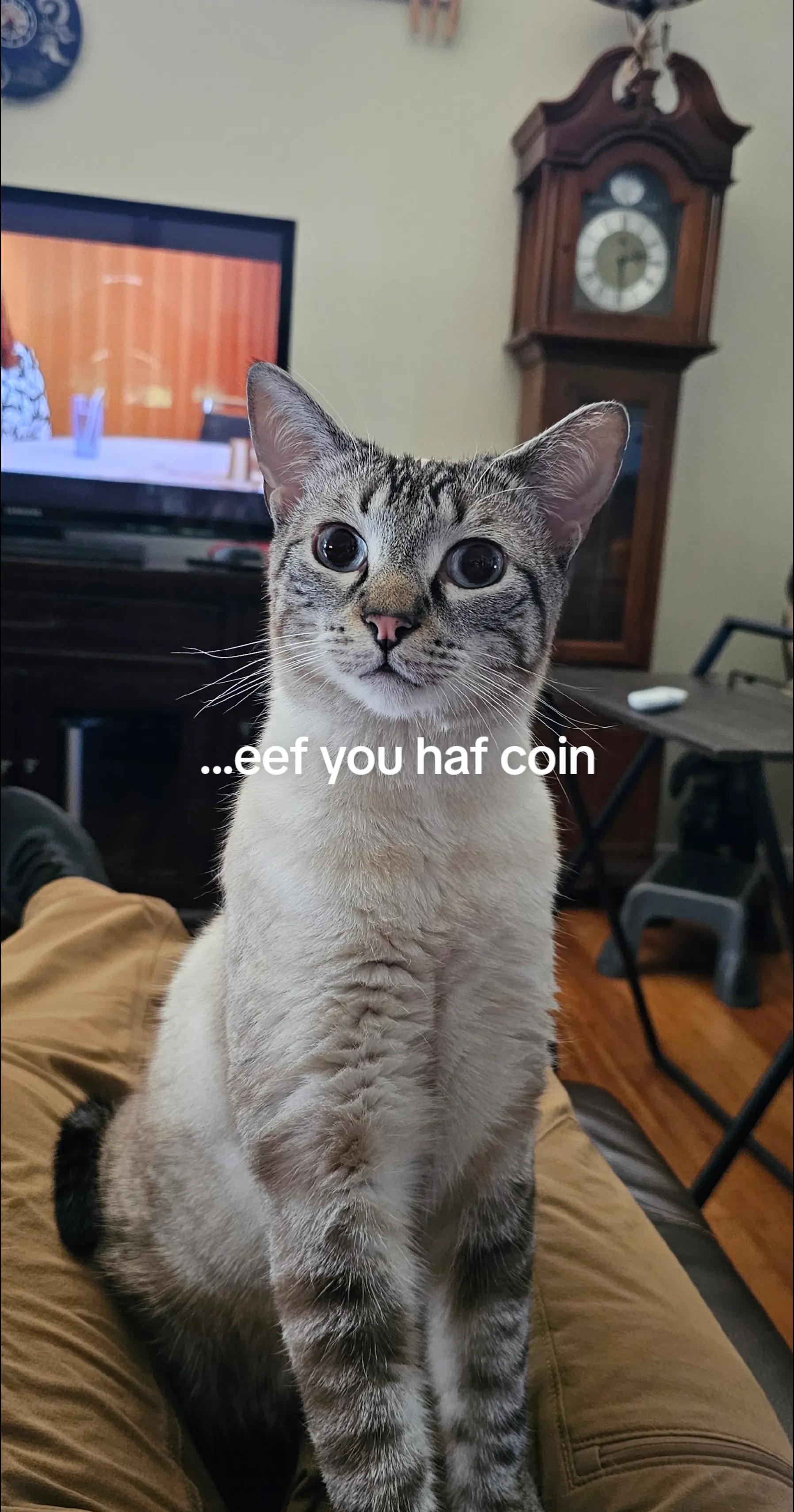@M