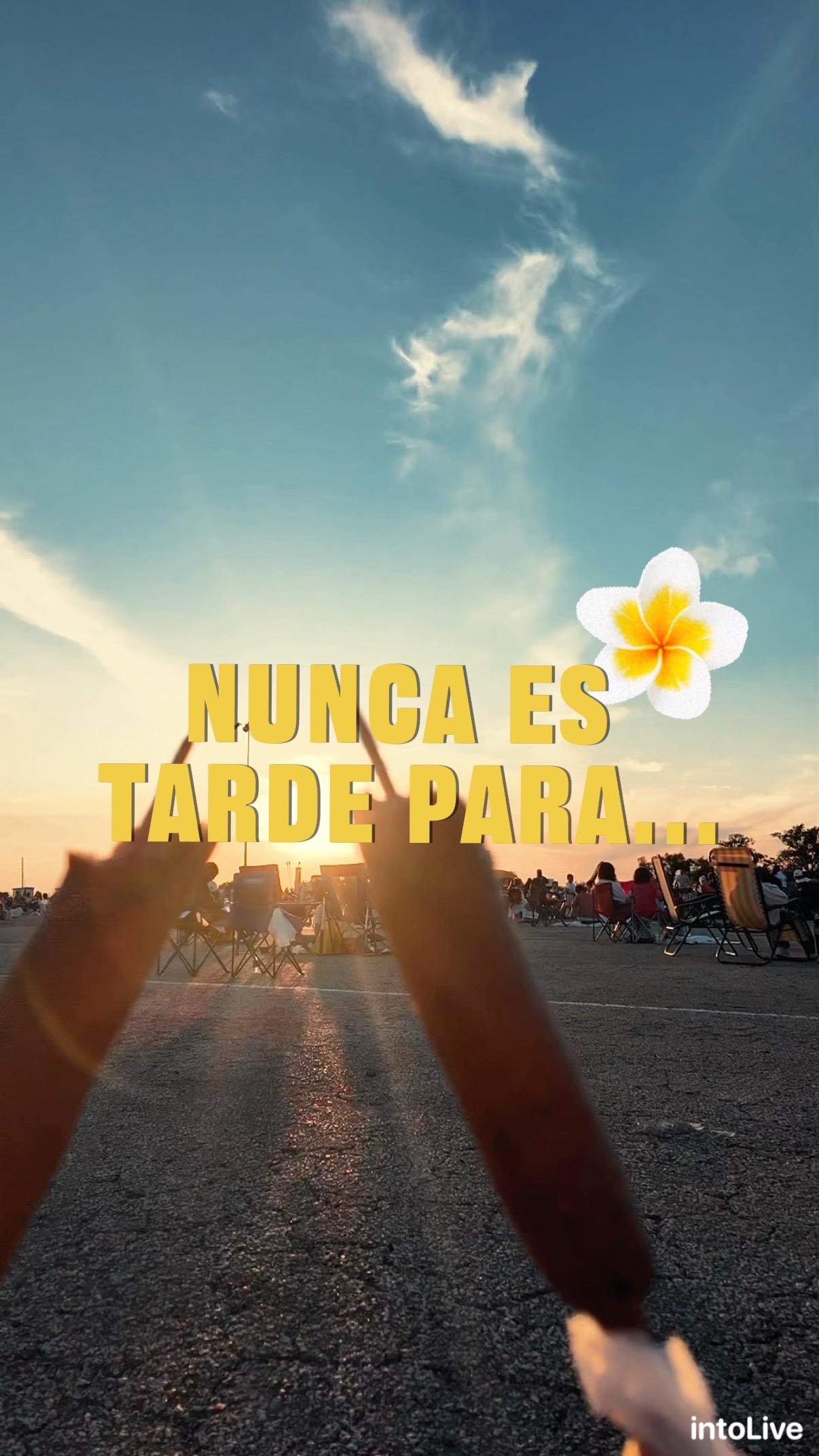 @Paulah Jaramillo
