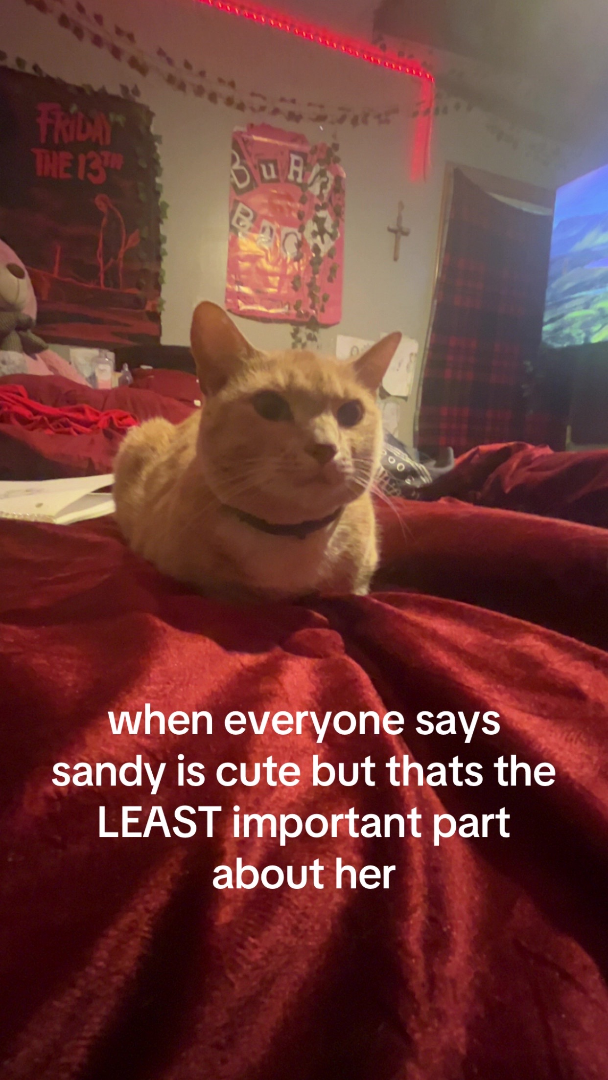 @Sam