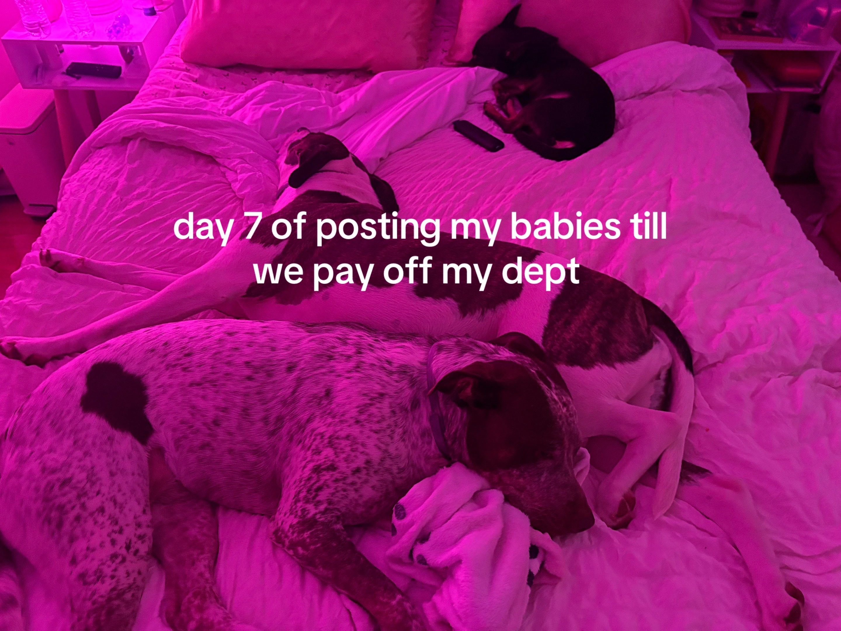 @erin