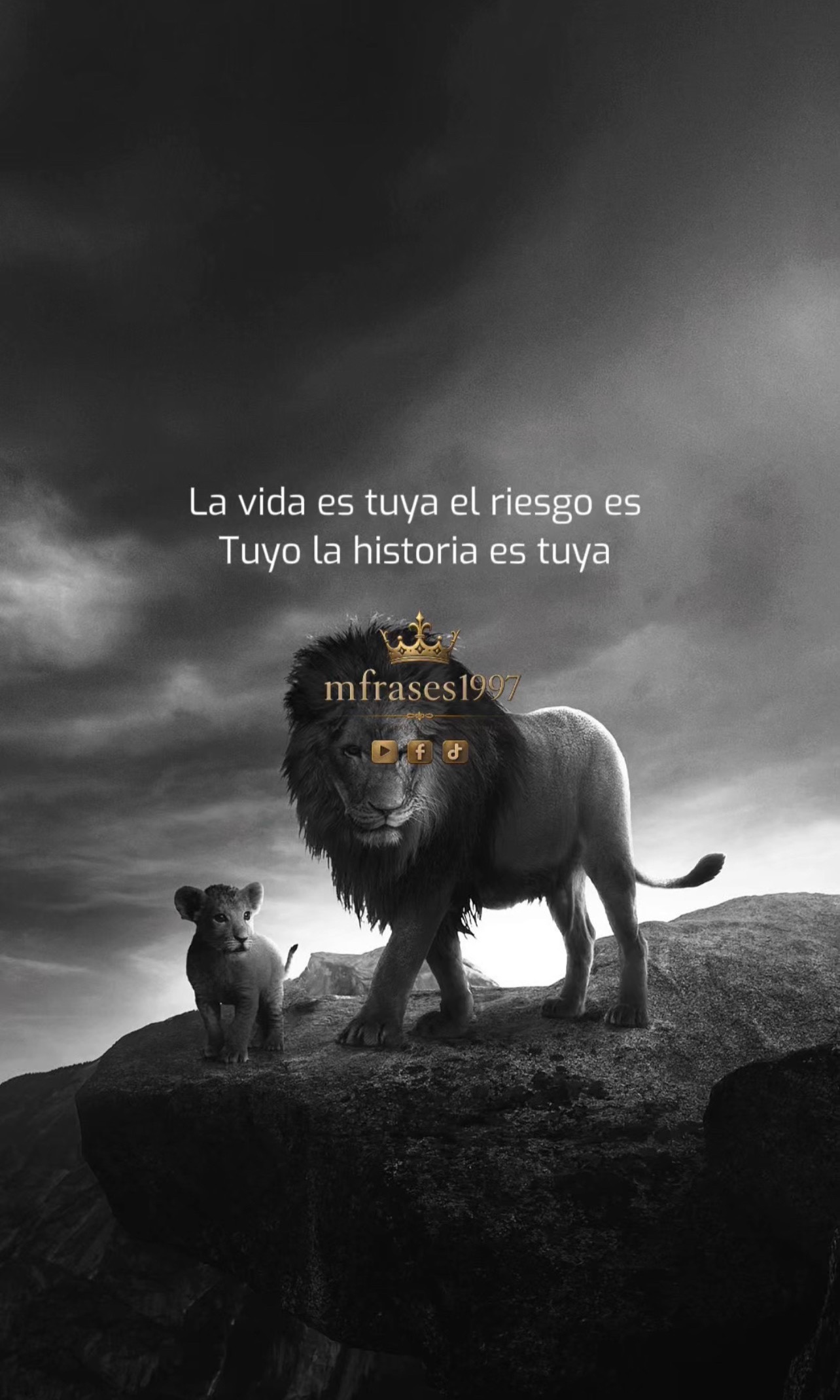 @Mfrases1