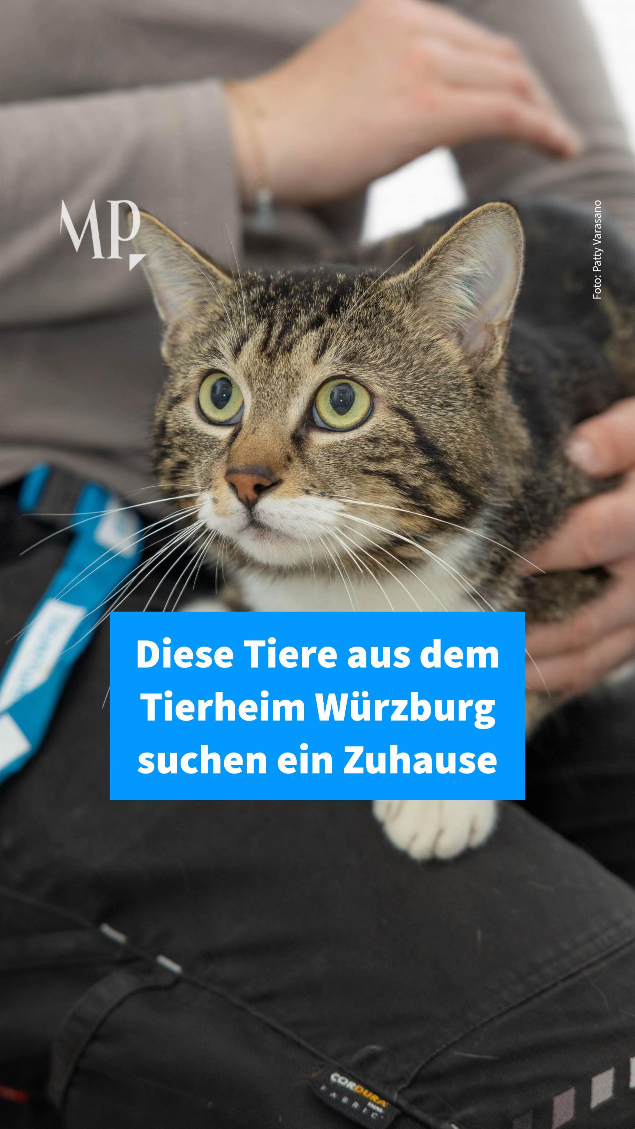 @mainpost.de