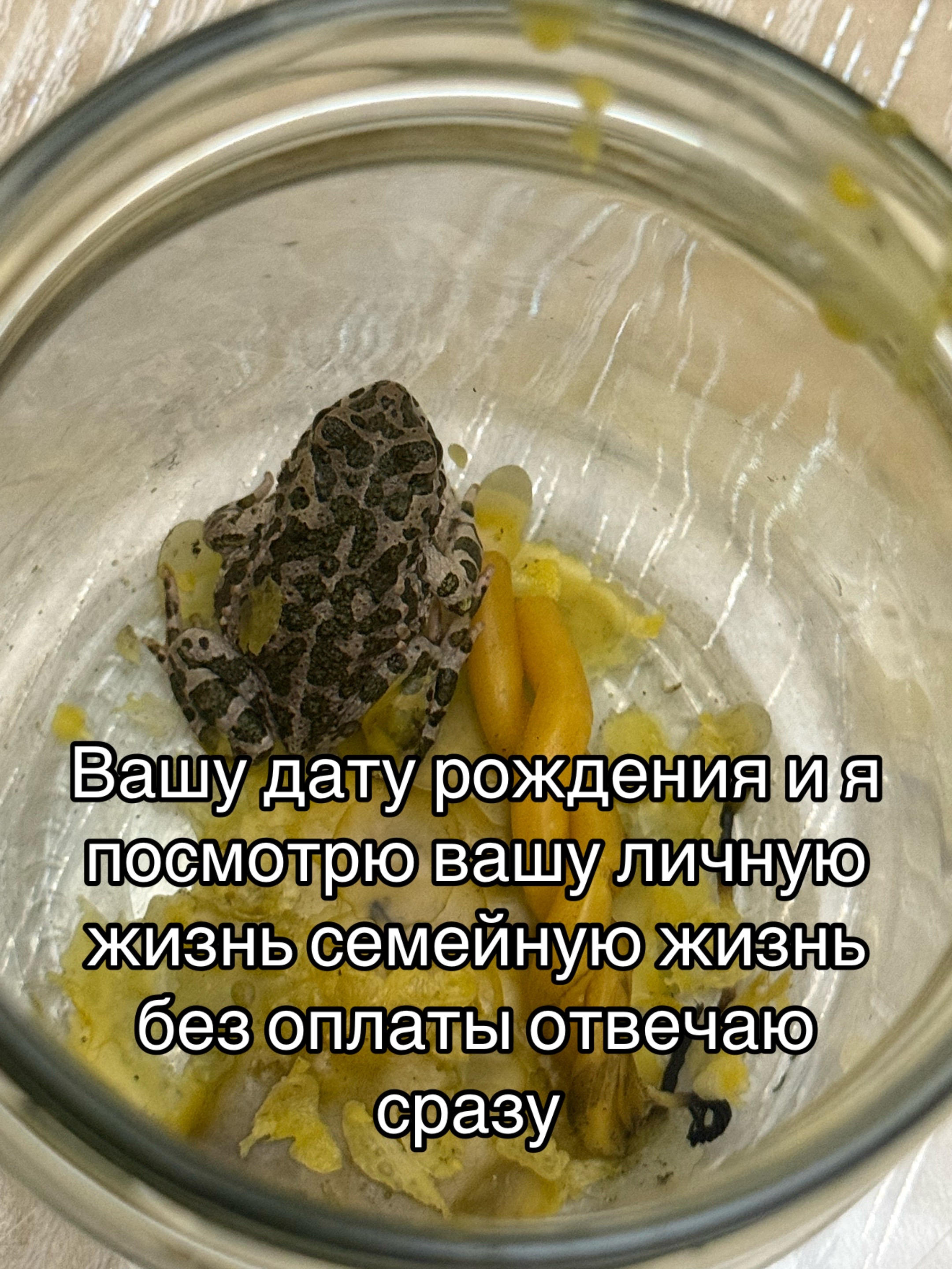 @ясновидящая бабушка Рая