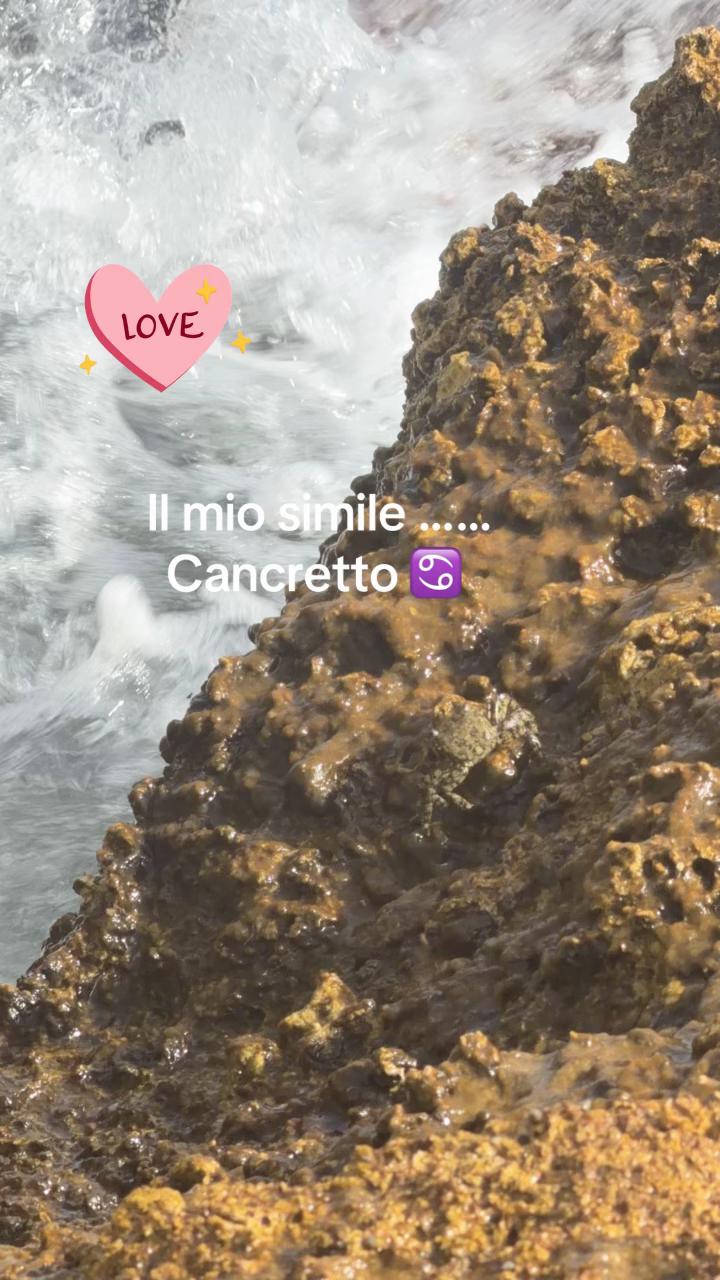 @Vera Piciocchi