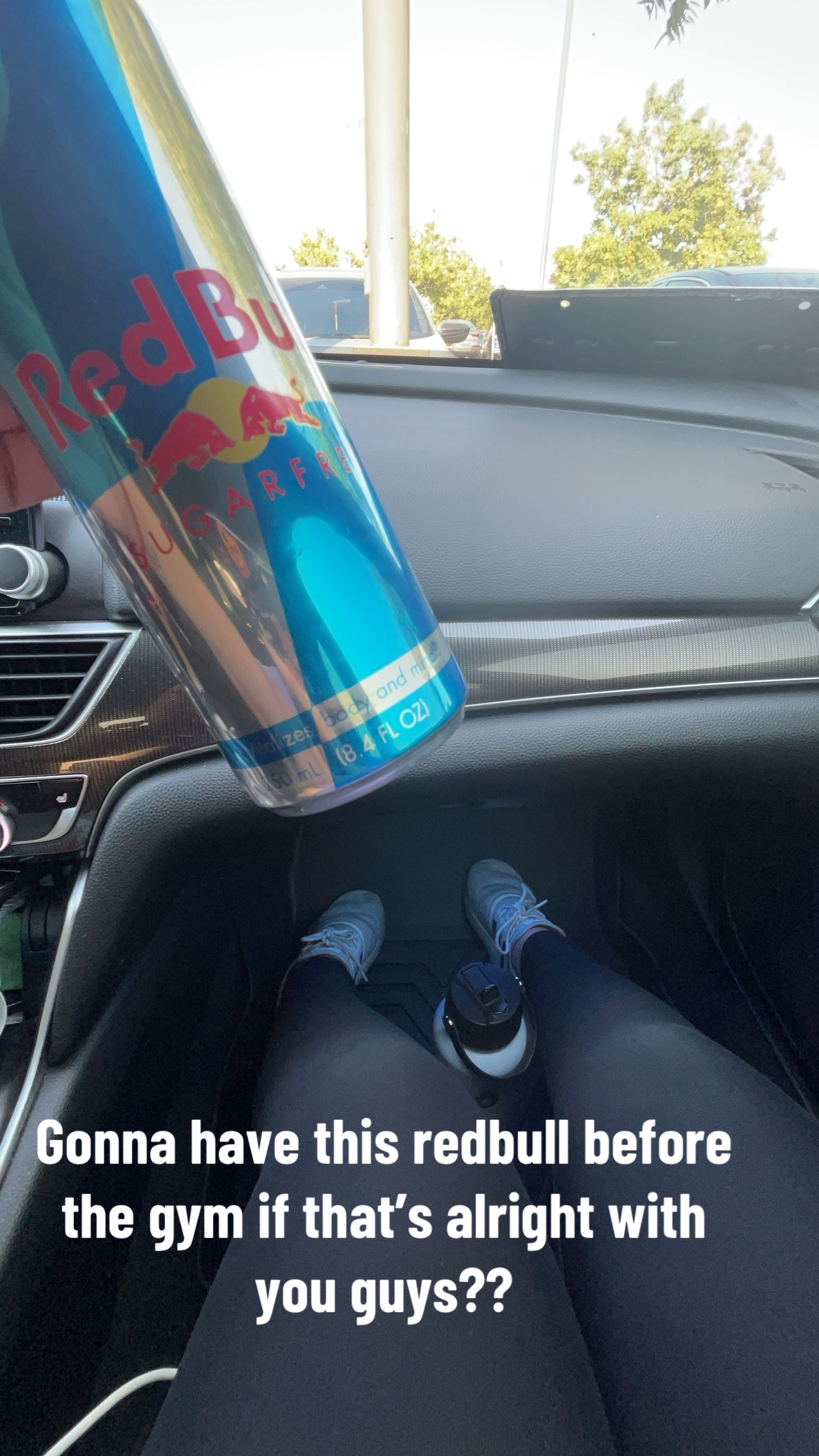 @Stephyowl