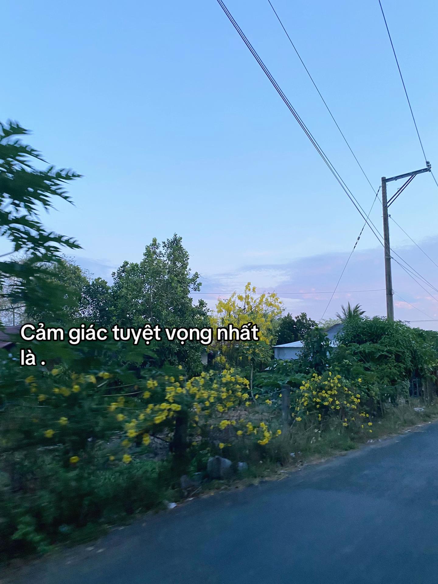 @chang