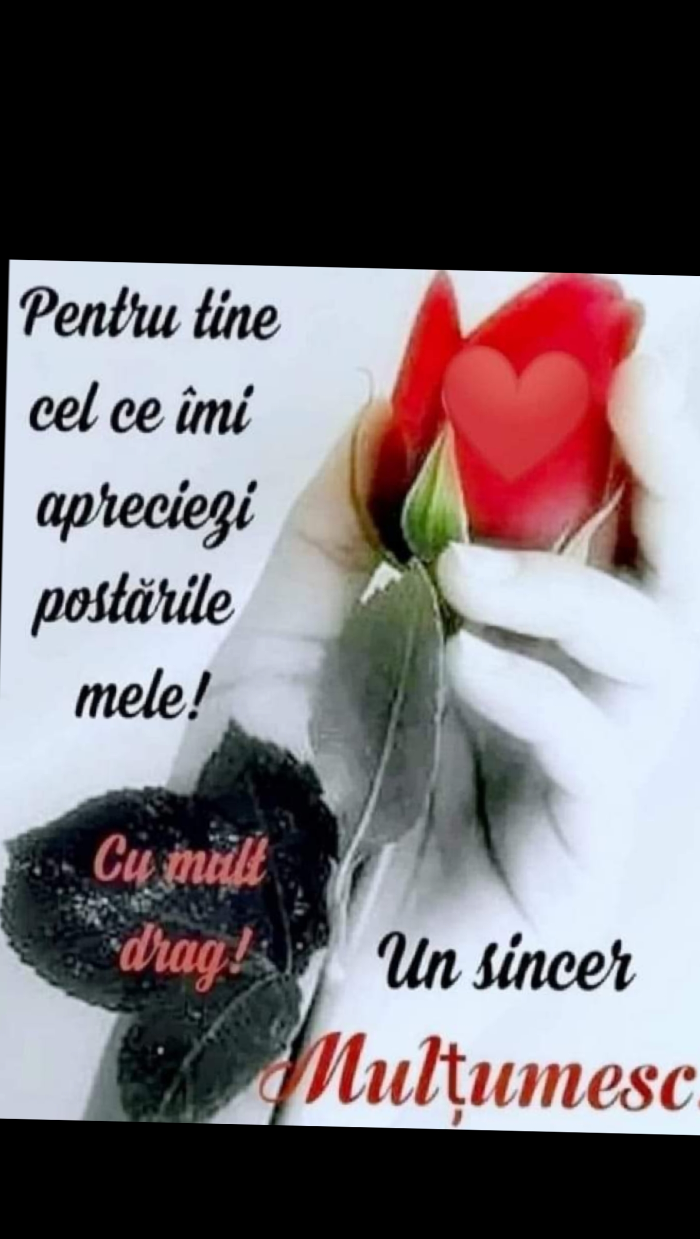 @𝓜𝓲𝓱𝓪𝓲 &hearts;️