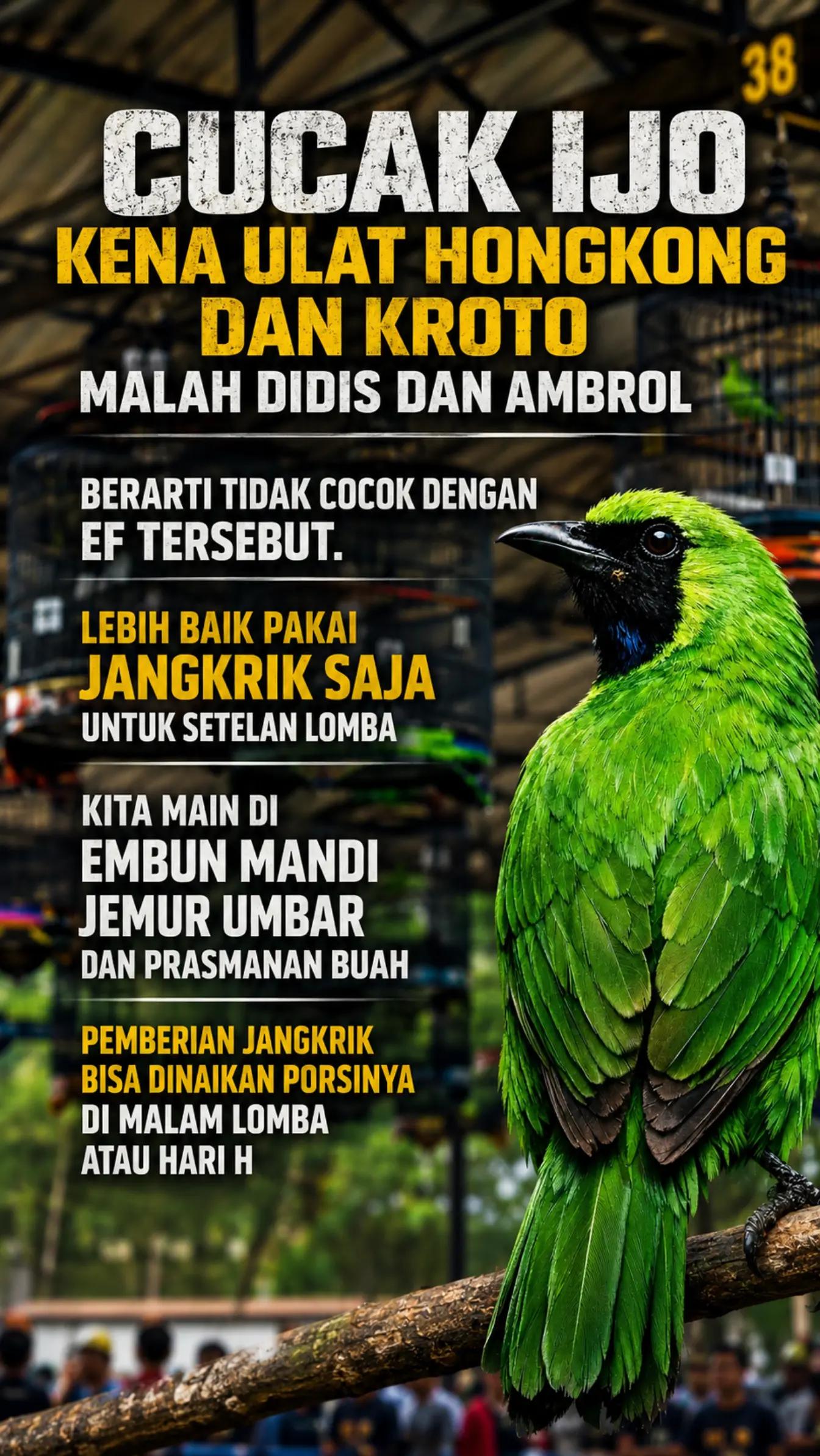 @fbkicaumania