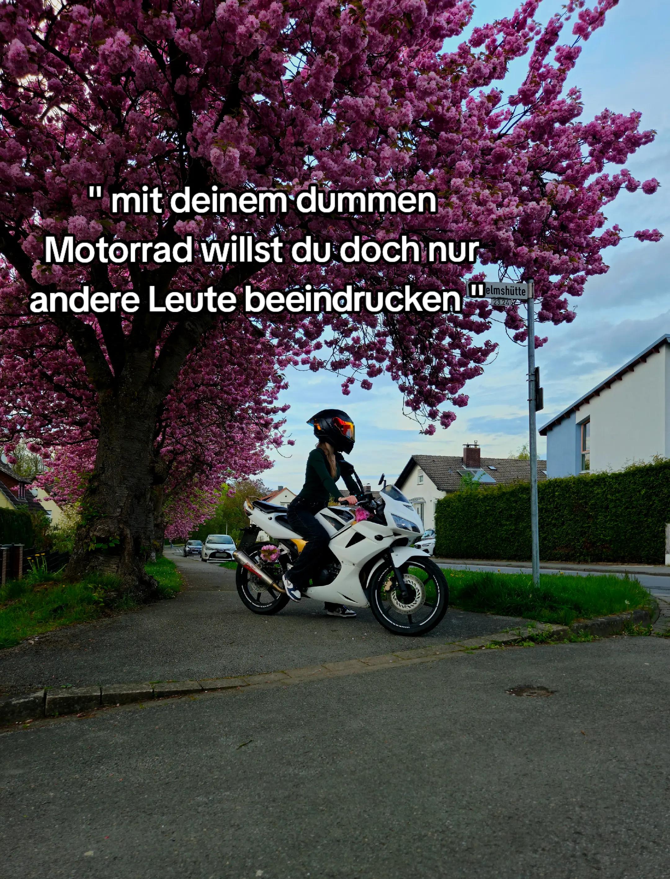 @𝕮𝖆𝖑𝖑𝖒𝖊.𝖗𝖔𝖓𝖏𝖆🏍🖤