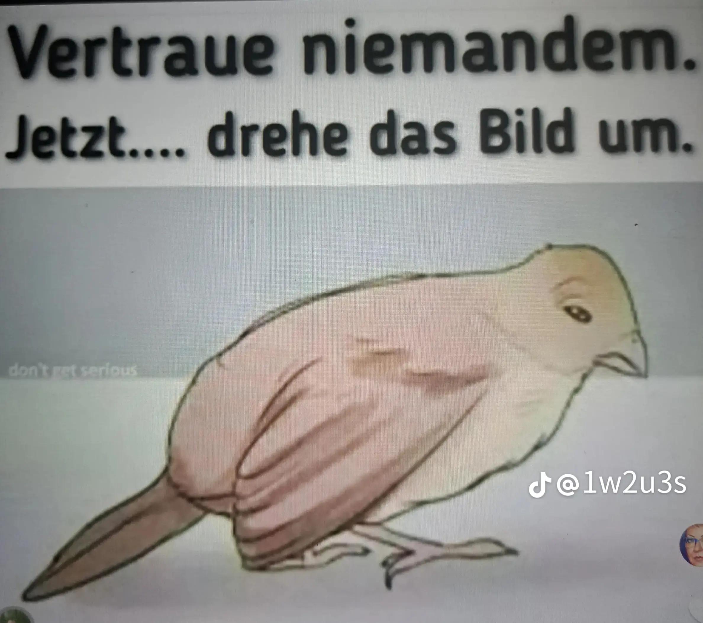@Mister Unbekannt