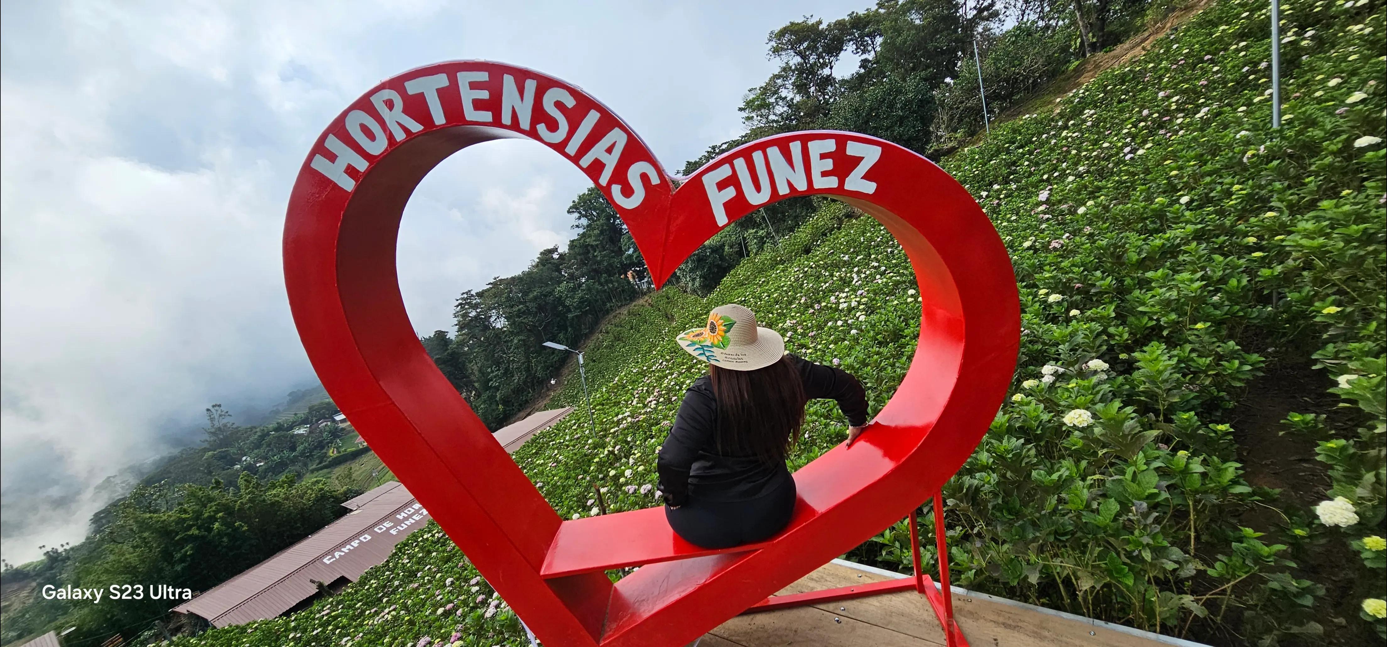 @leticia@