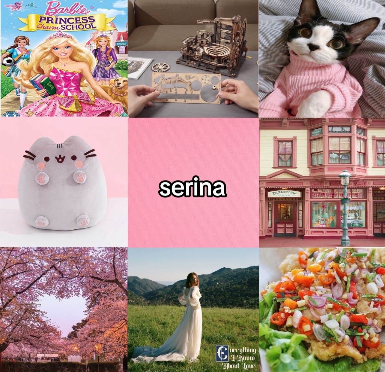 @ser