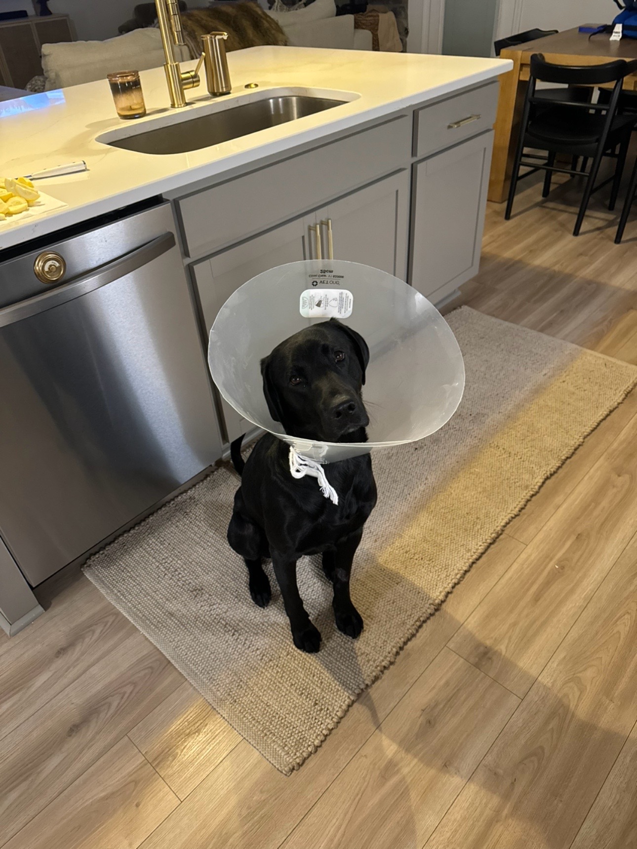 @ghostblacklab