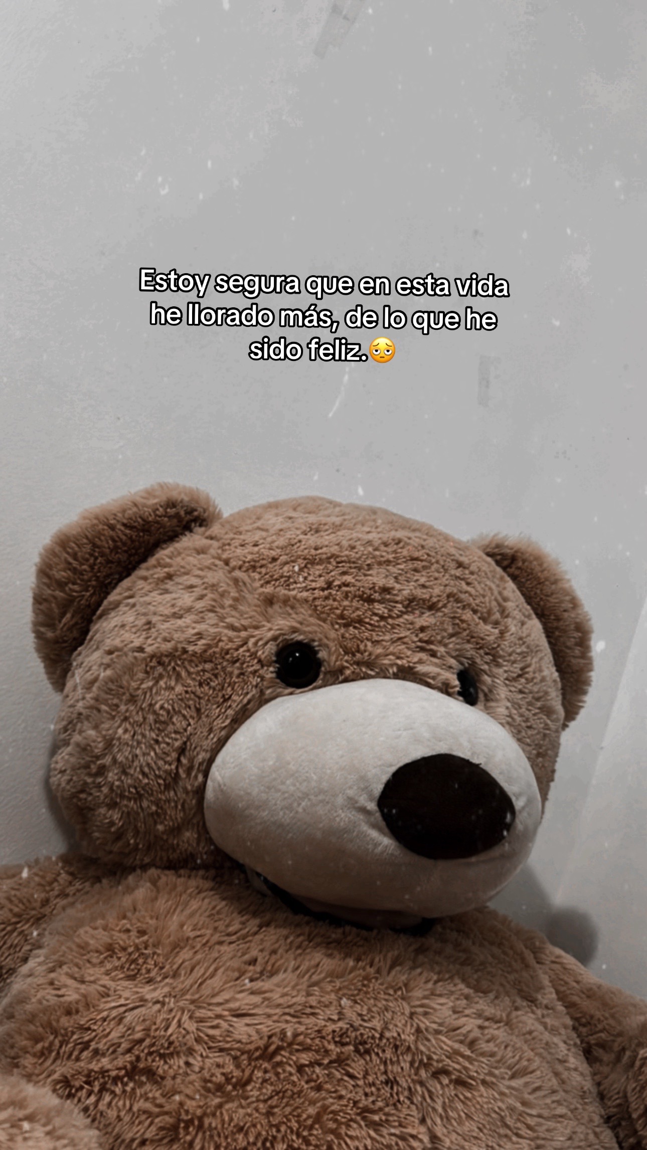 @Valeria 🤍