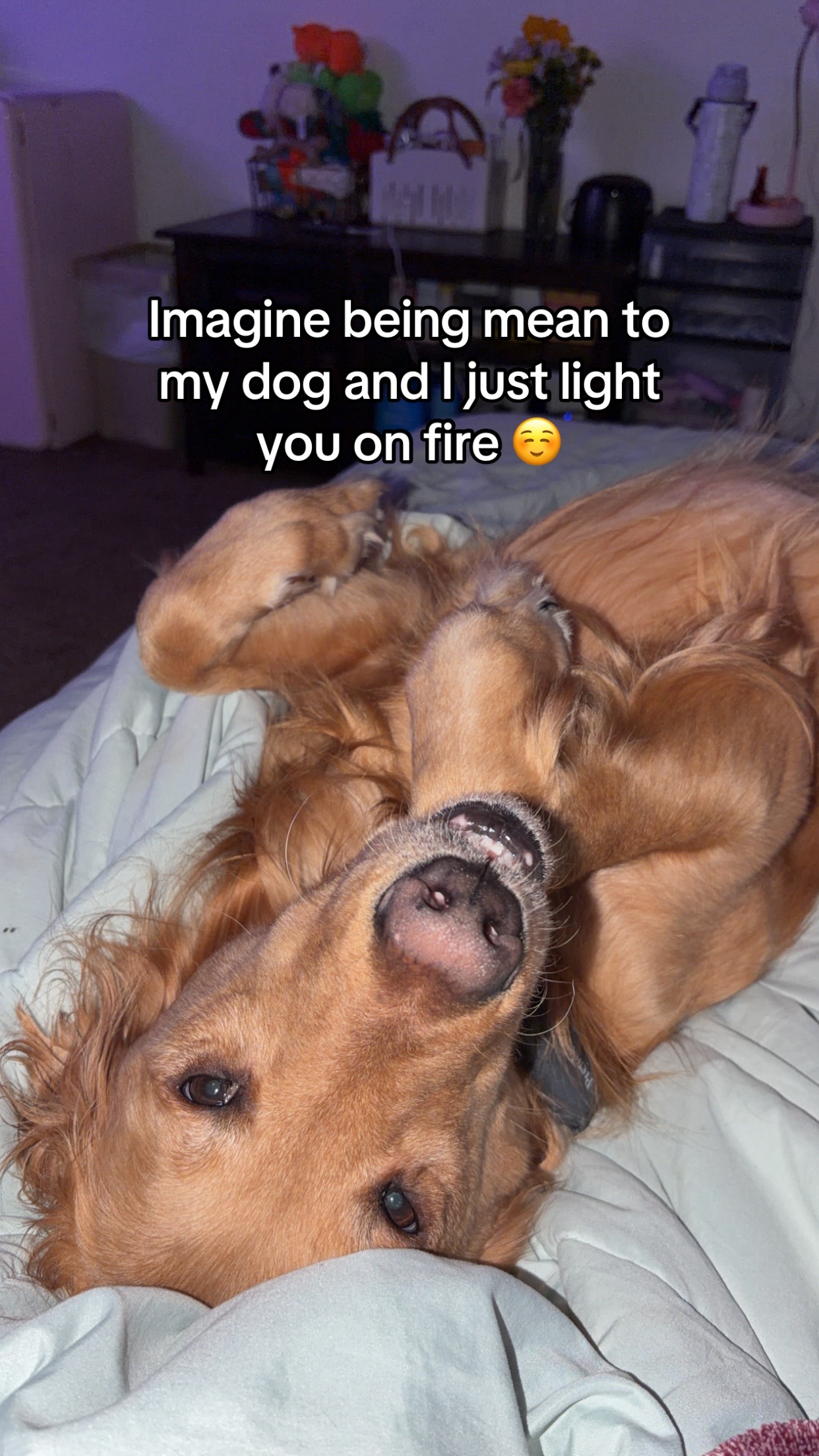 @Taylee❤️